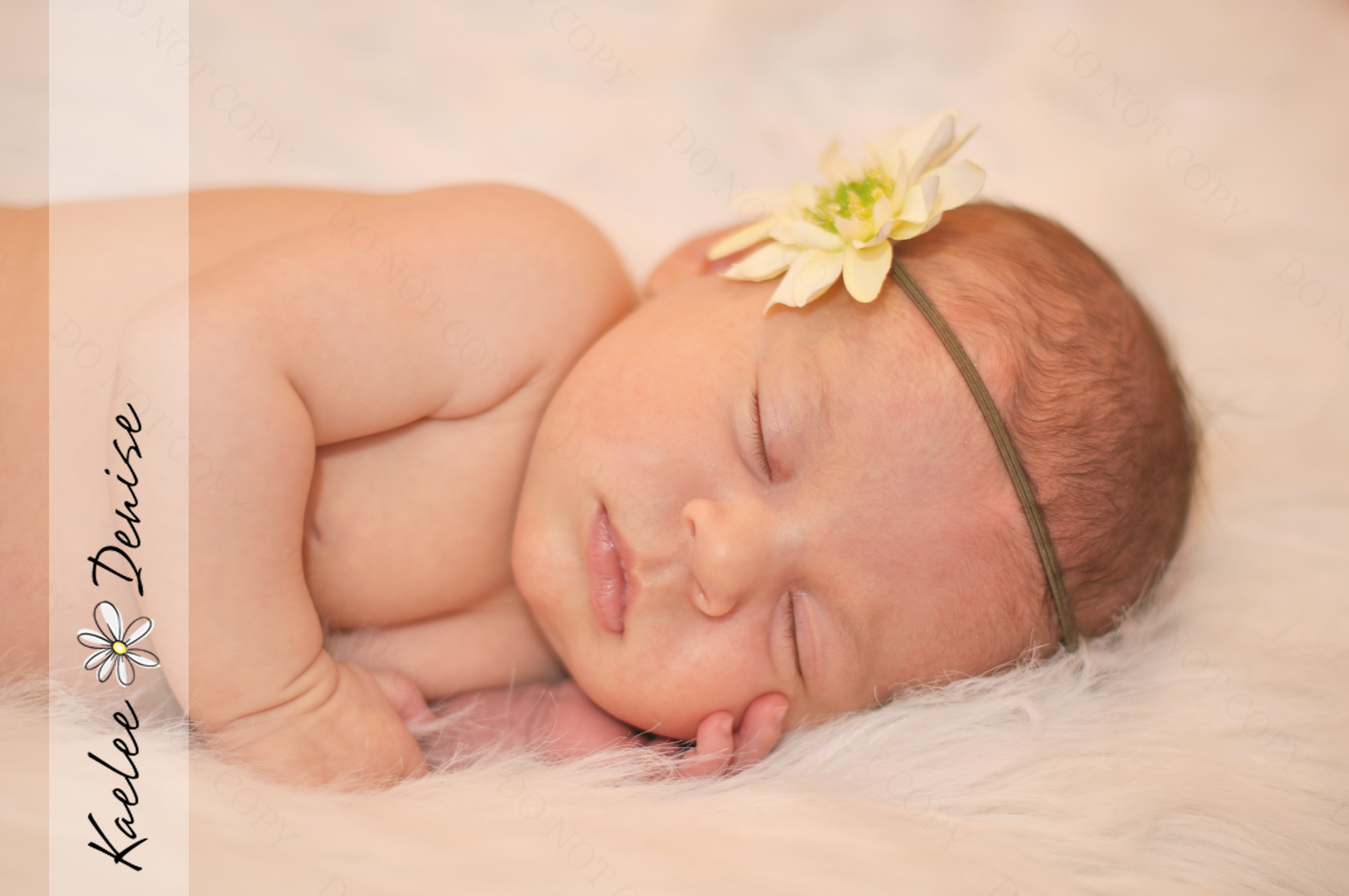 Kaelee Denise Photography