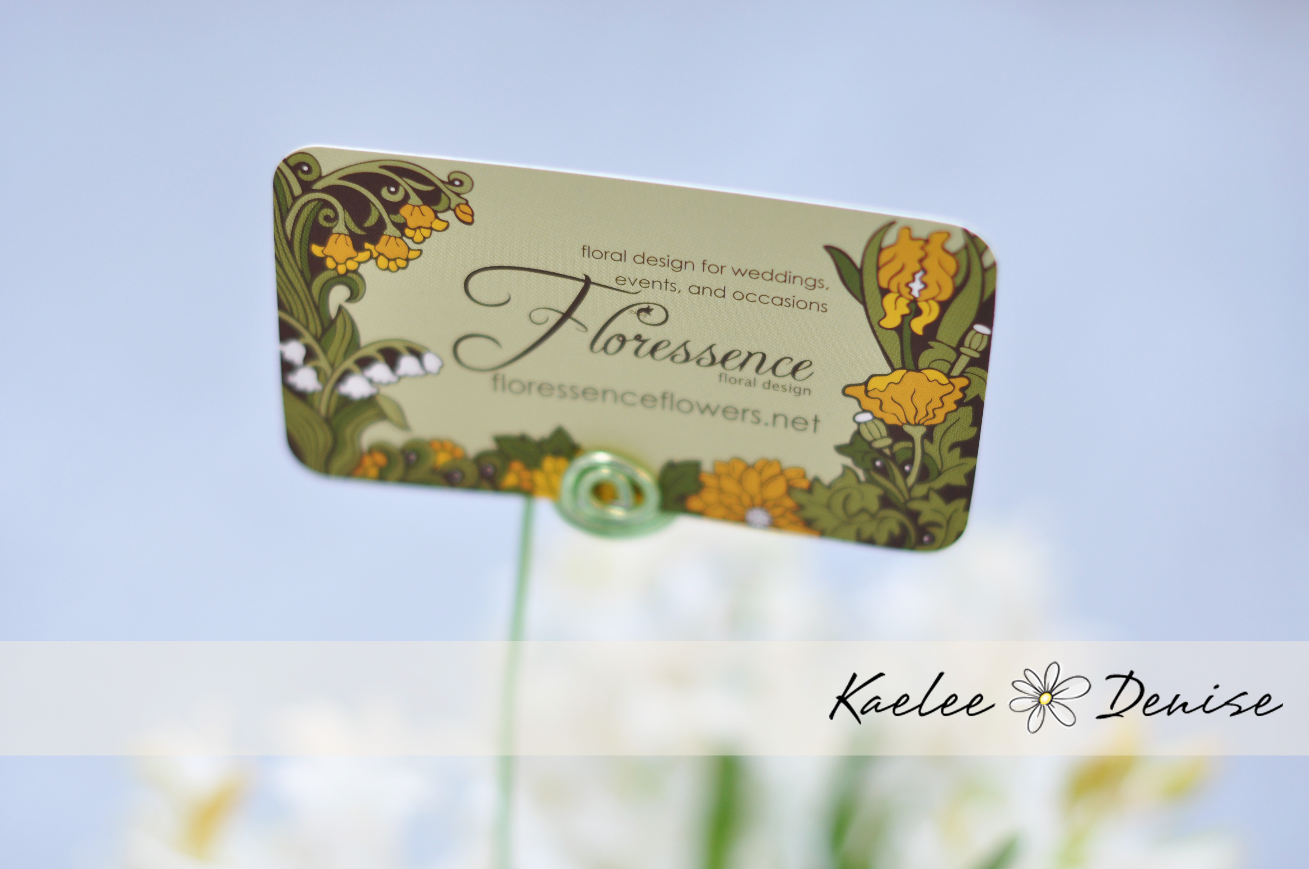 Kaelee Denise Photography