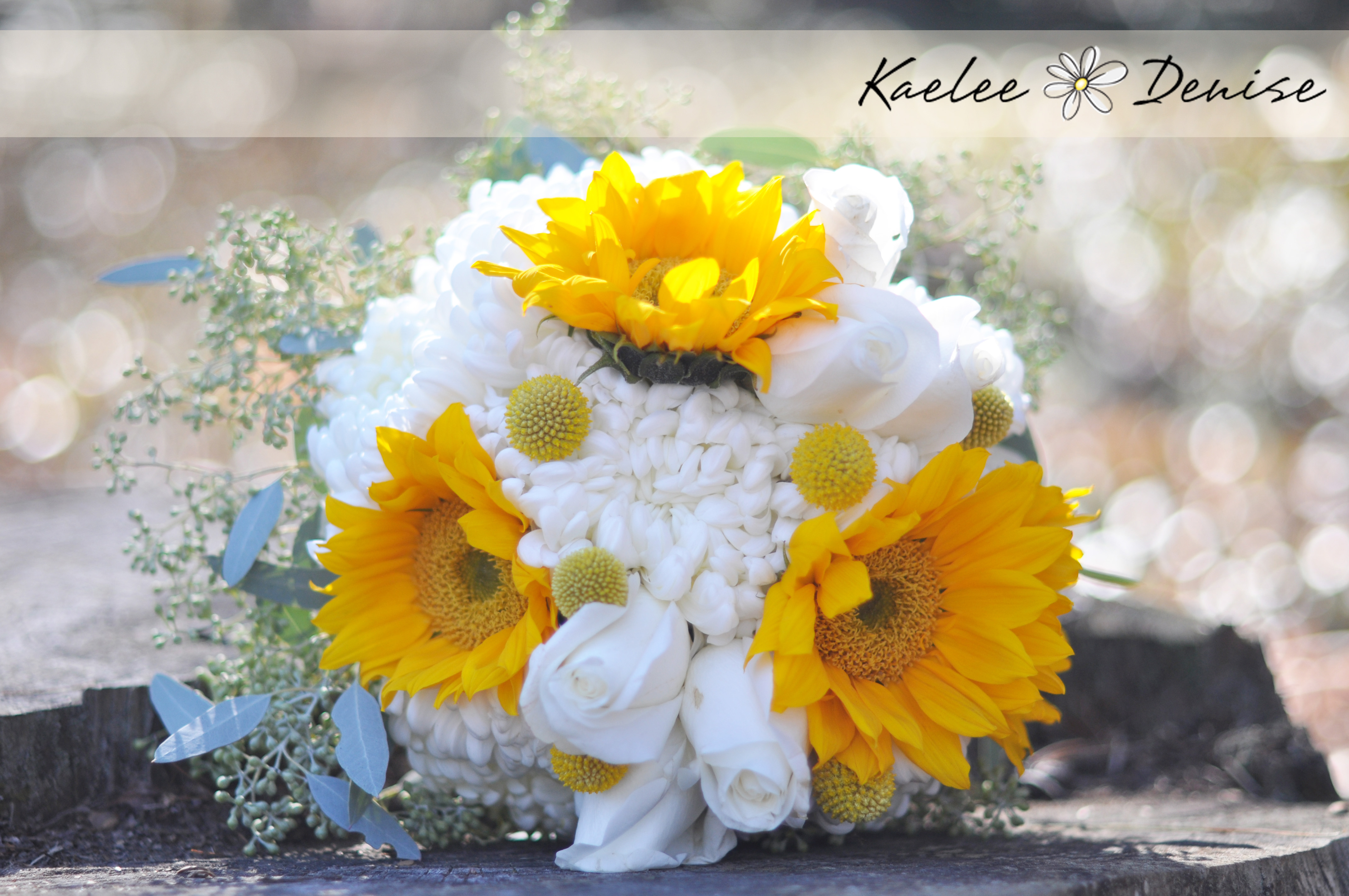 Kaelee Denise Photography