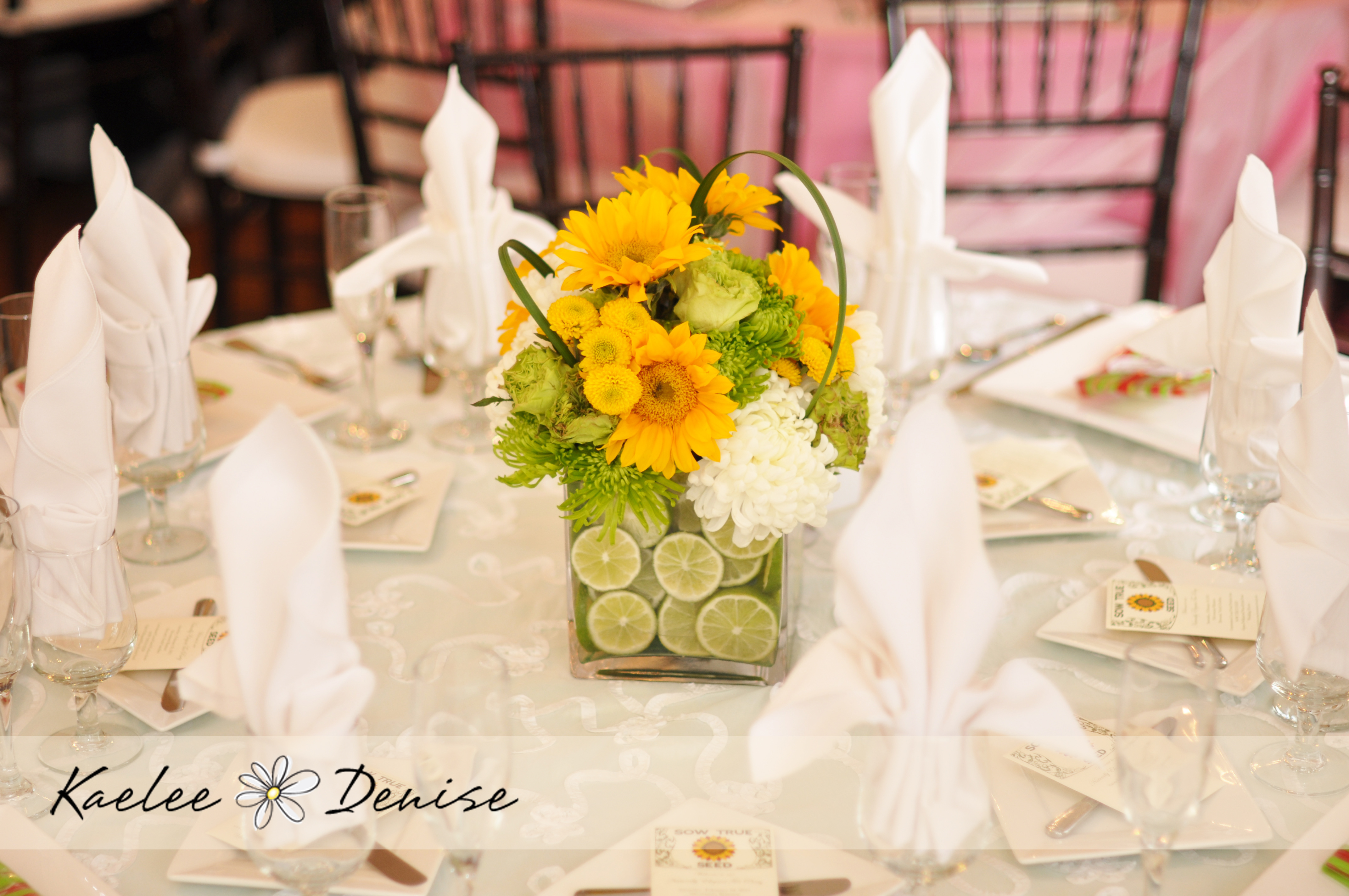 Kaelee Denise Photography