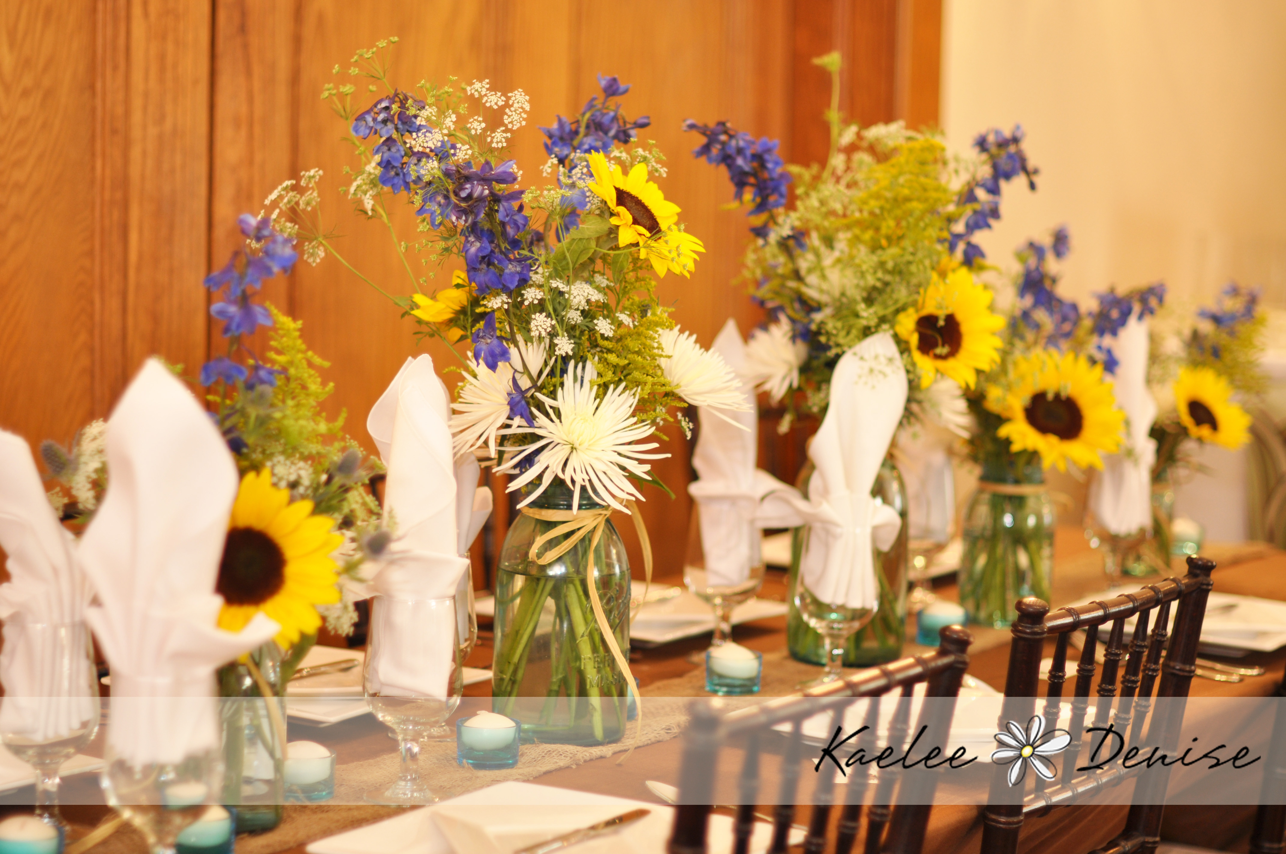 Kaelee Denise Photography