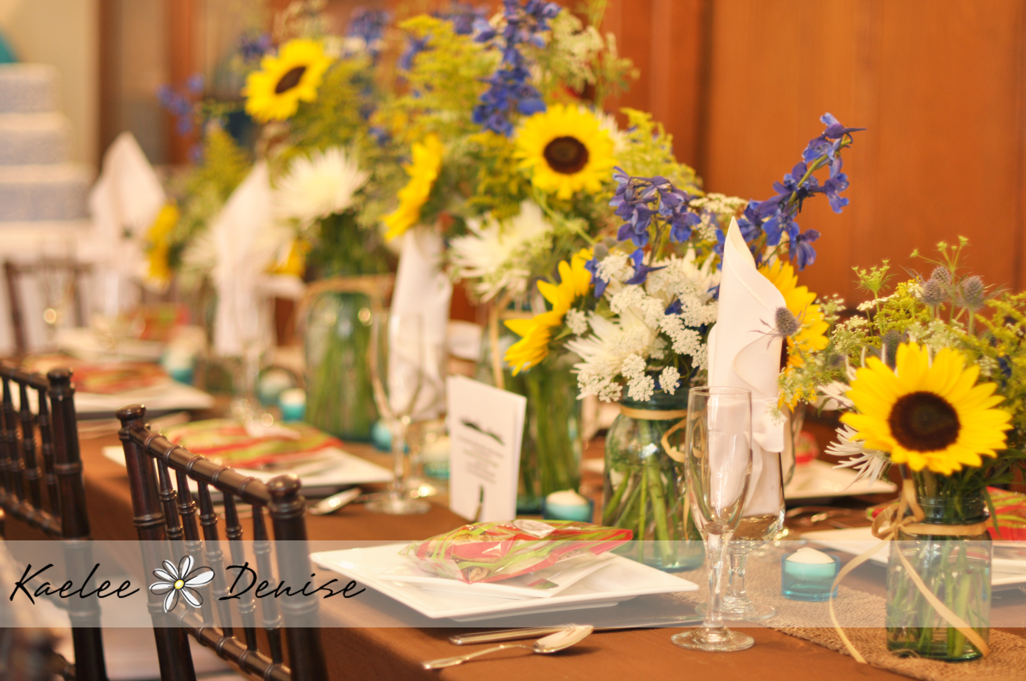 Kaelee Denise Photography