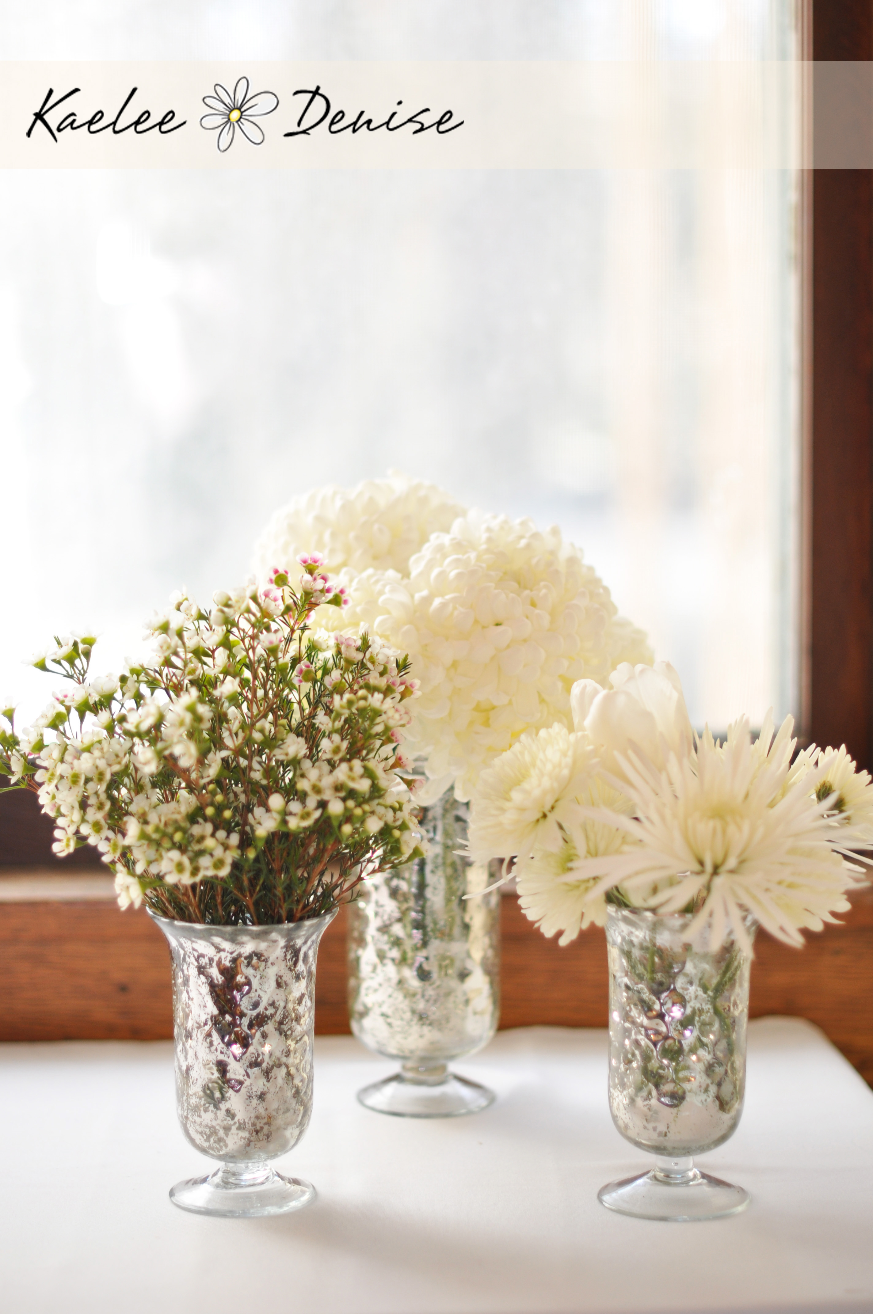 Kaelee Denise Photography