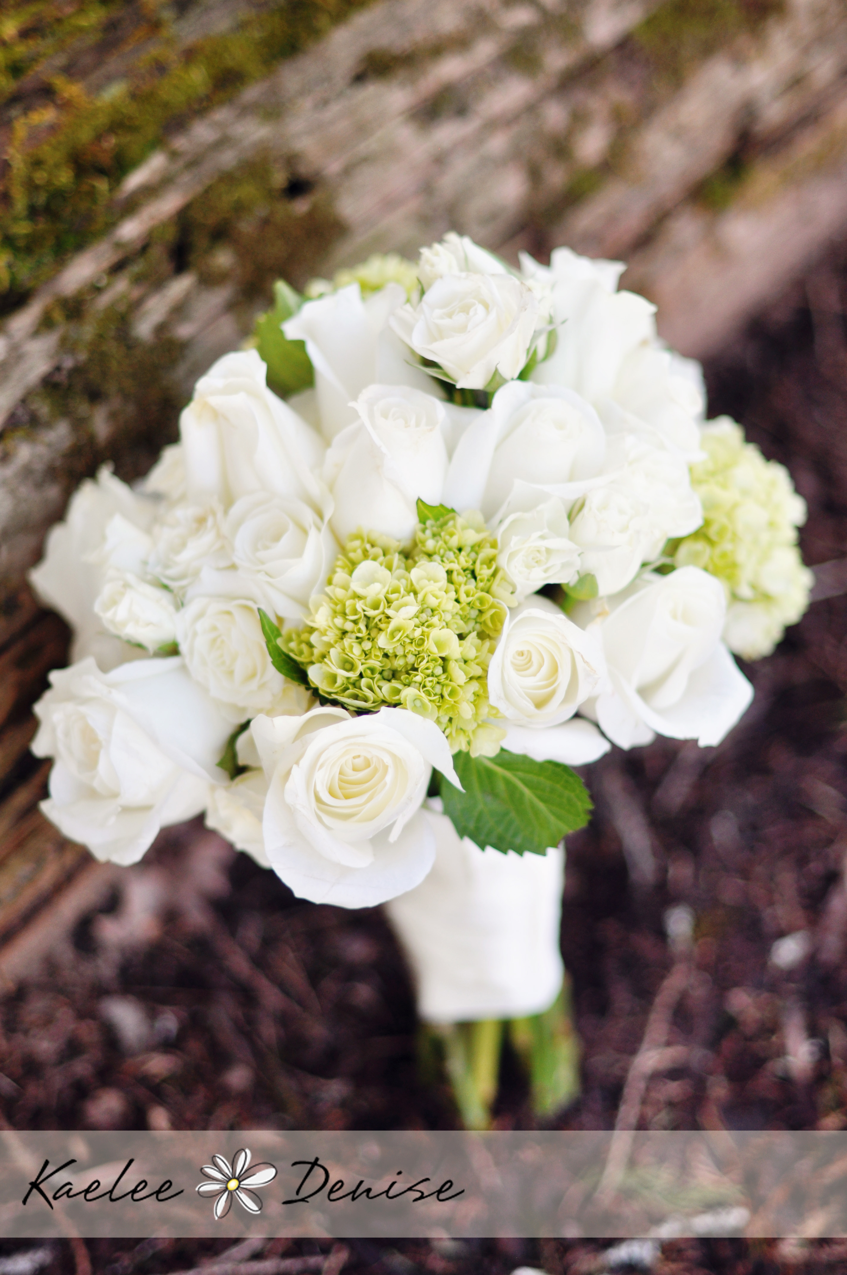 Kaelee Denise Photography