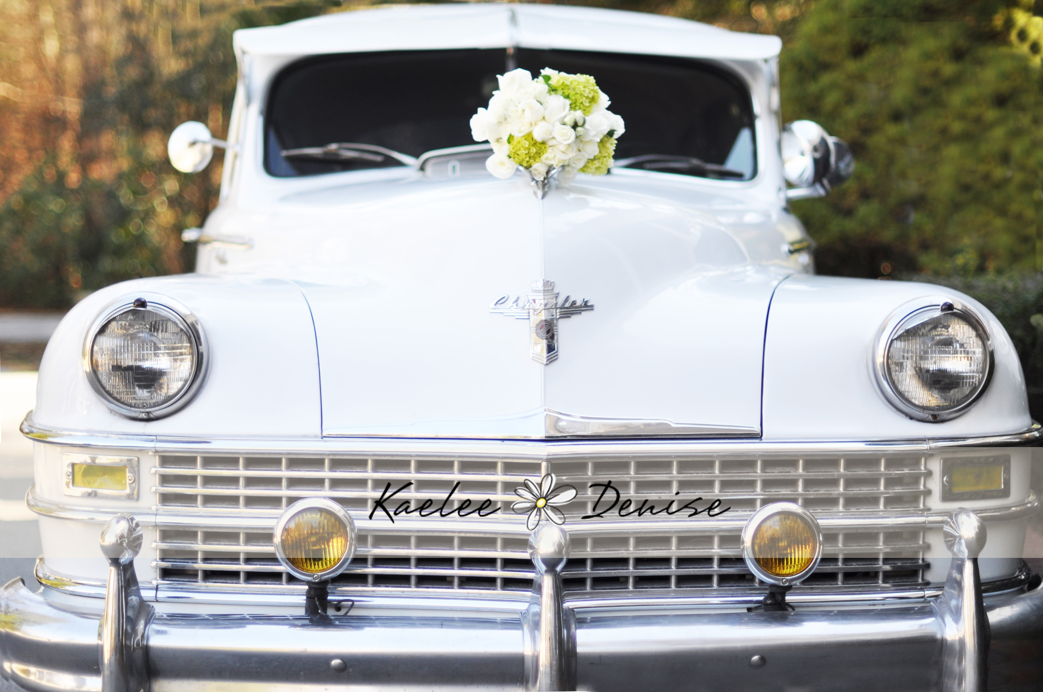 Kaelee Denise Photography