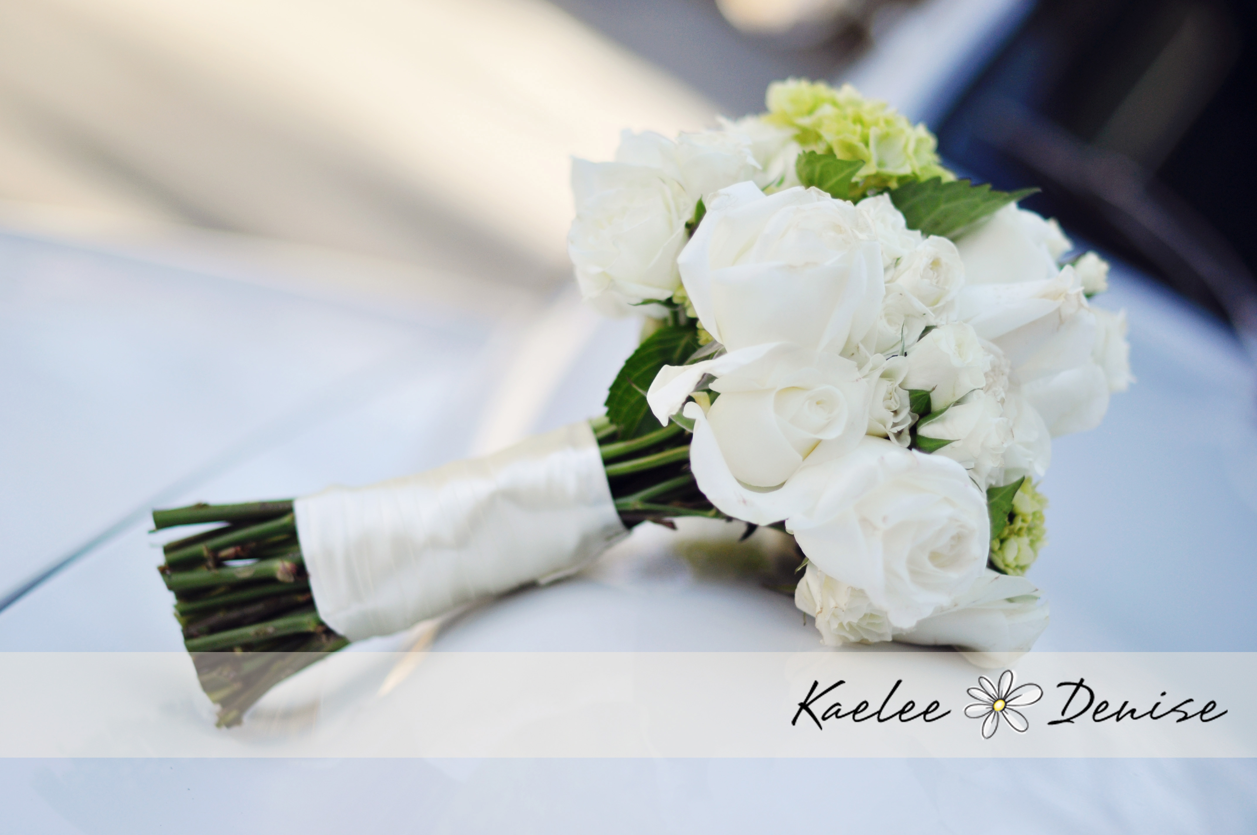 Kaelee Denise Photography