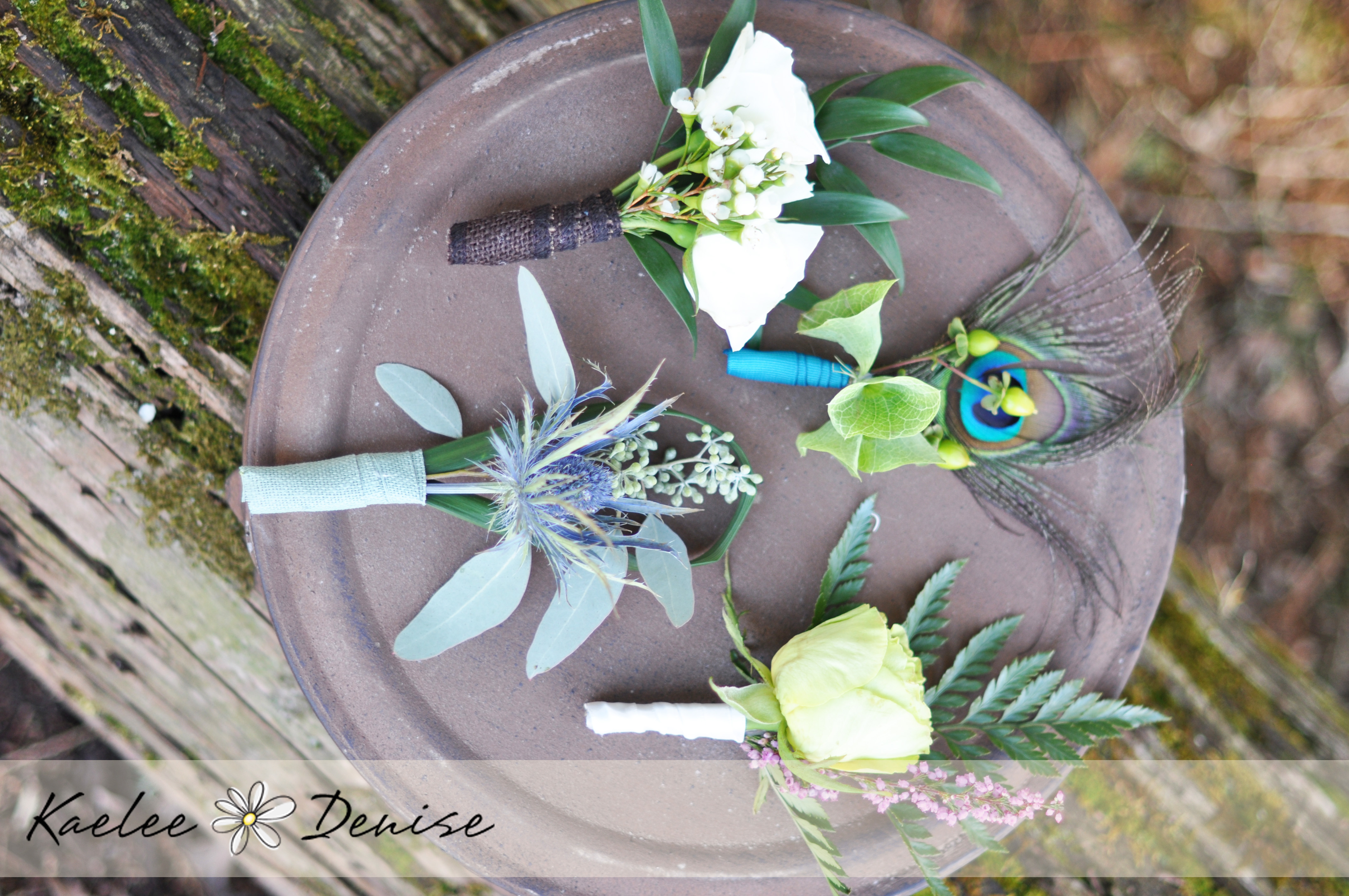 Kaelee Denise Photography