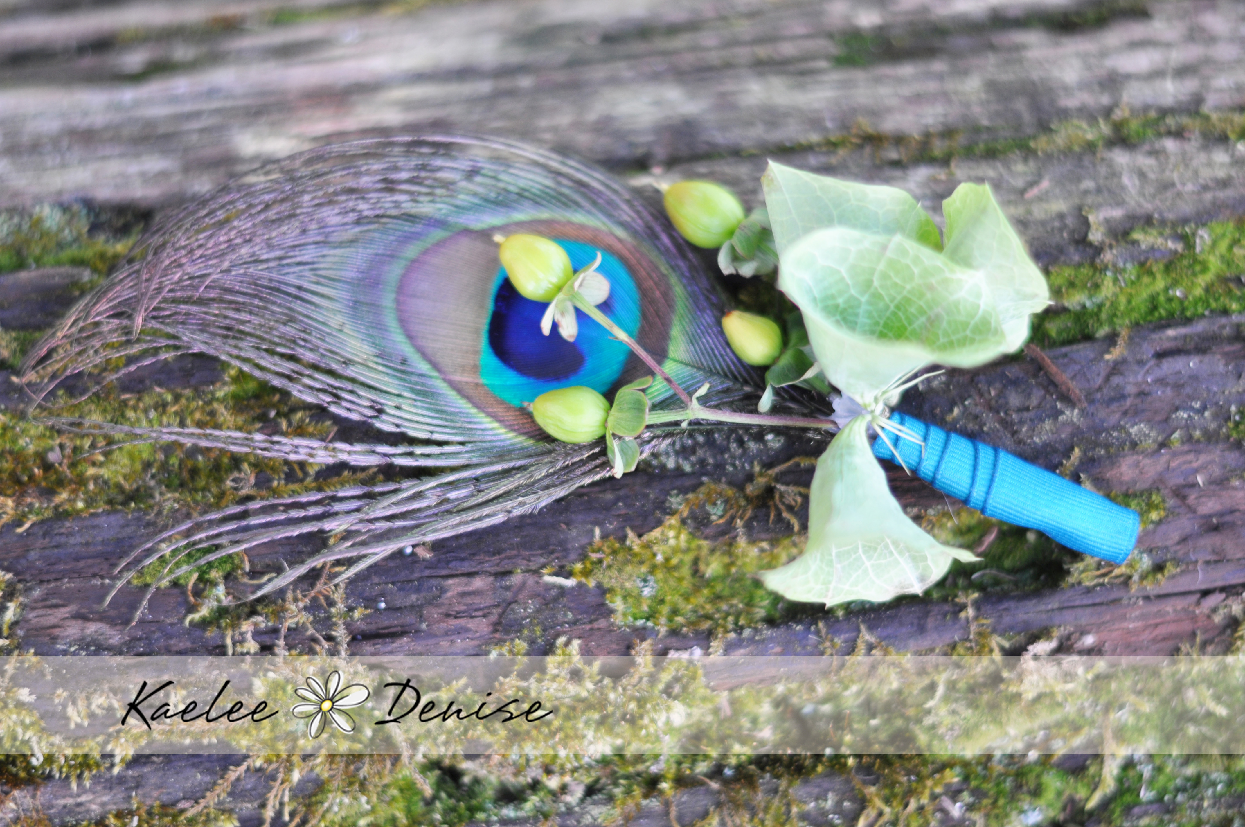 Kaelee Denise Photography