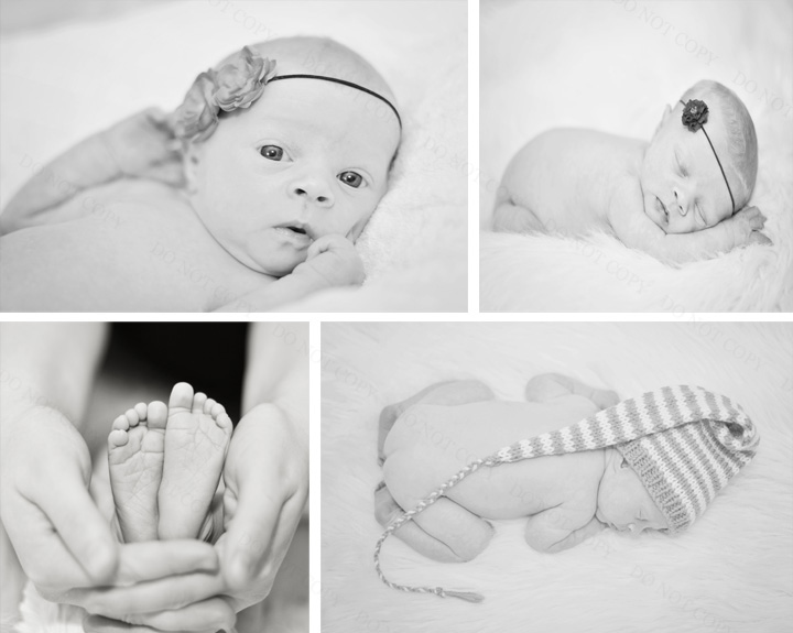 Kaelee Denise Photography