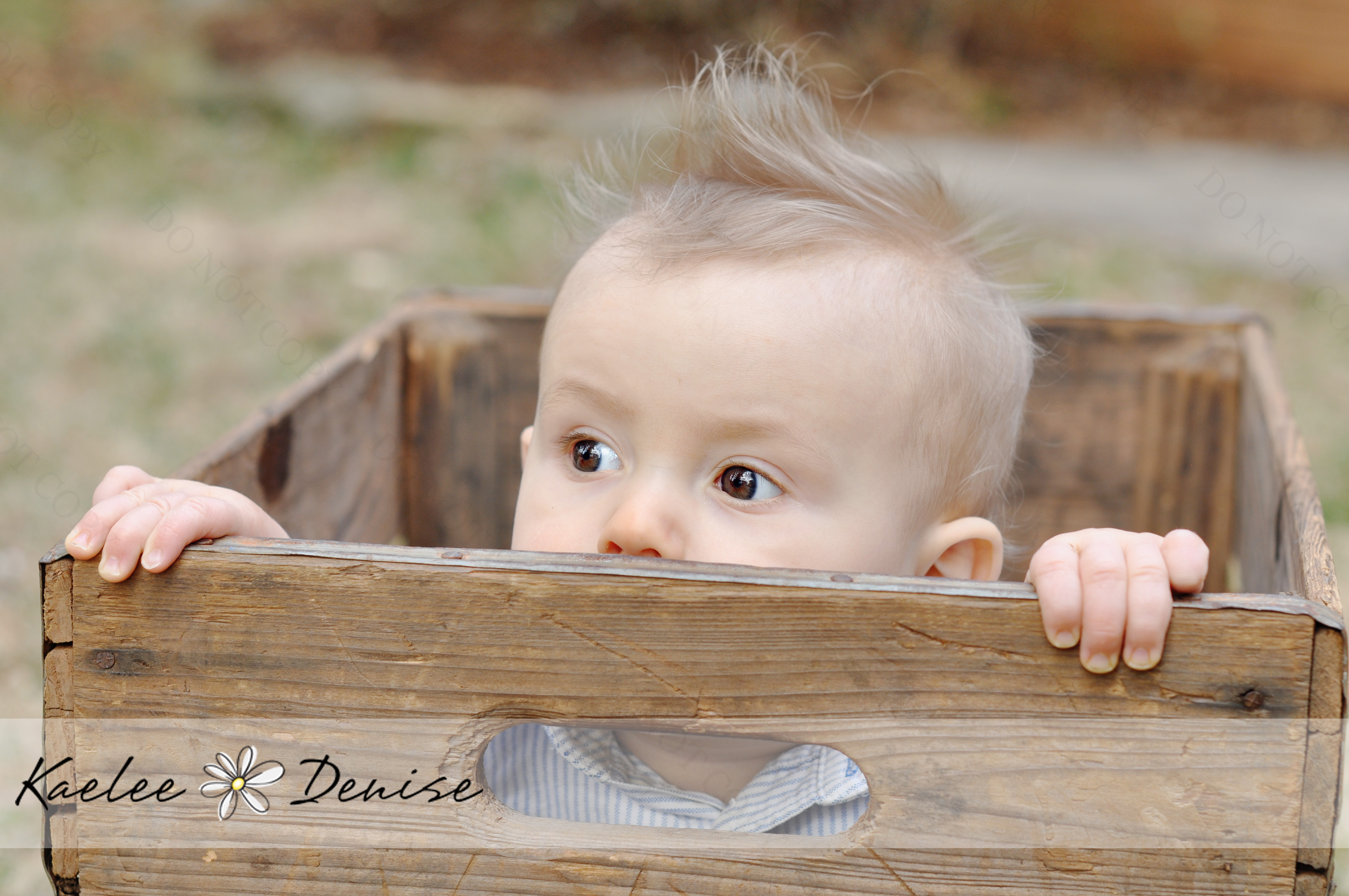 Kaelee Denise Photography