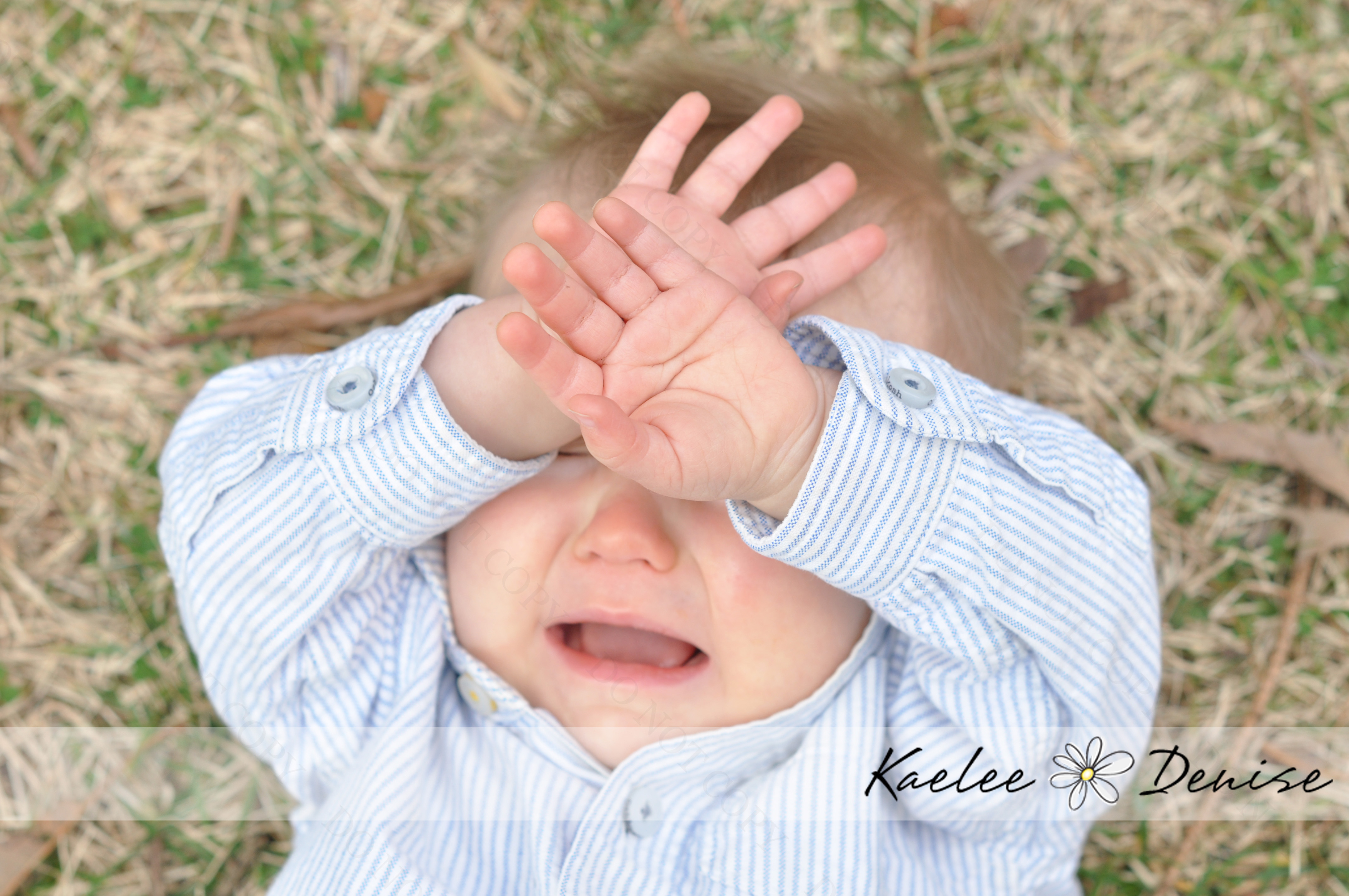 Kaelee Denise Photography