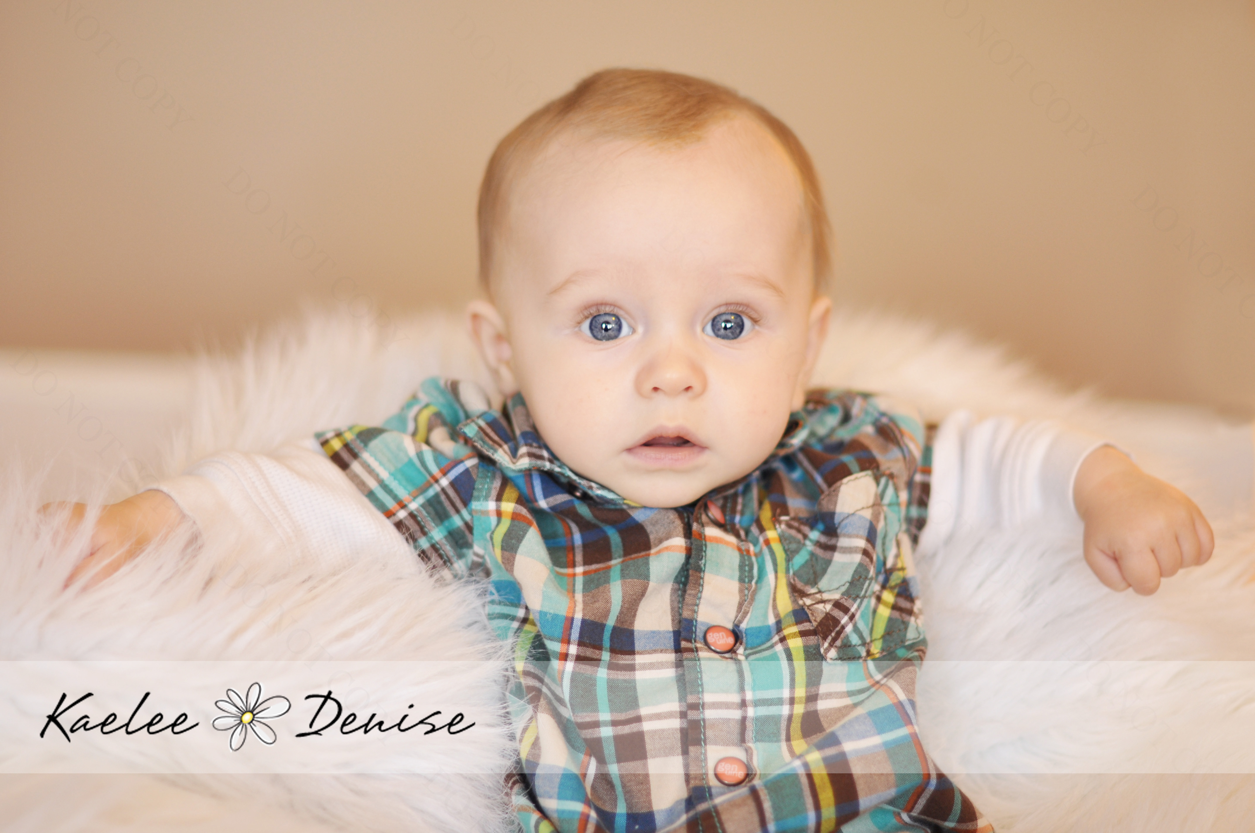 Kaelee Denise Photography