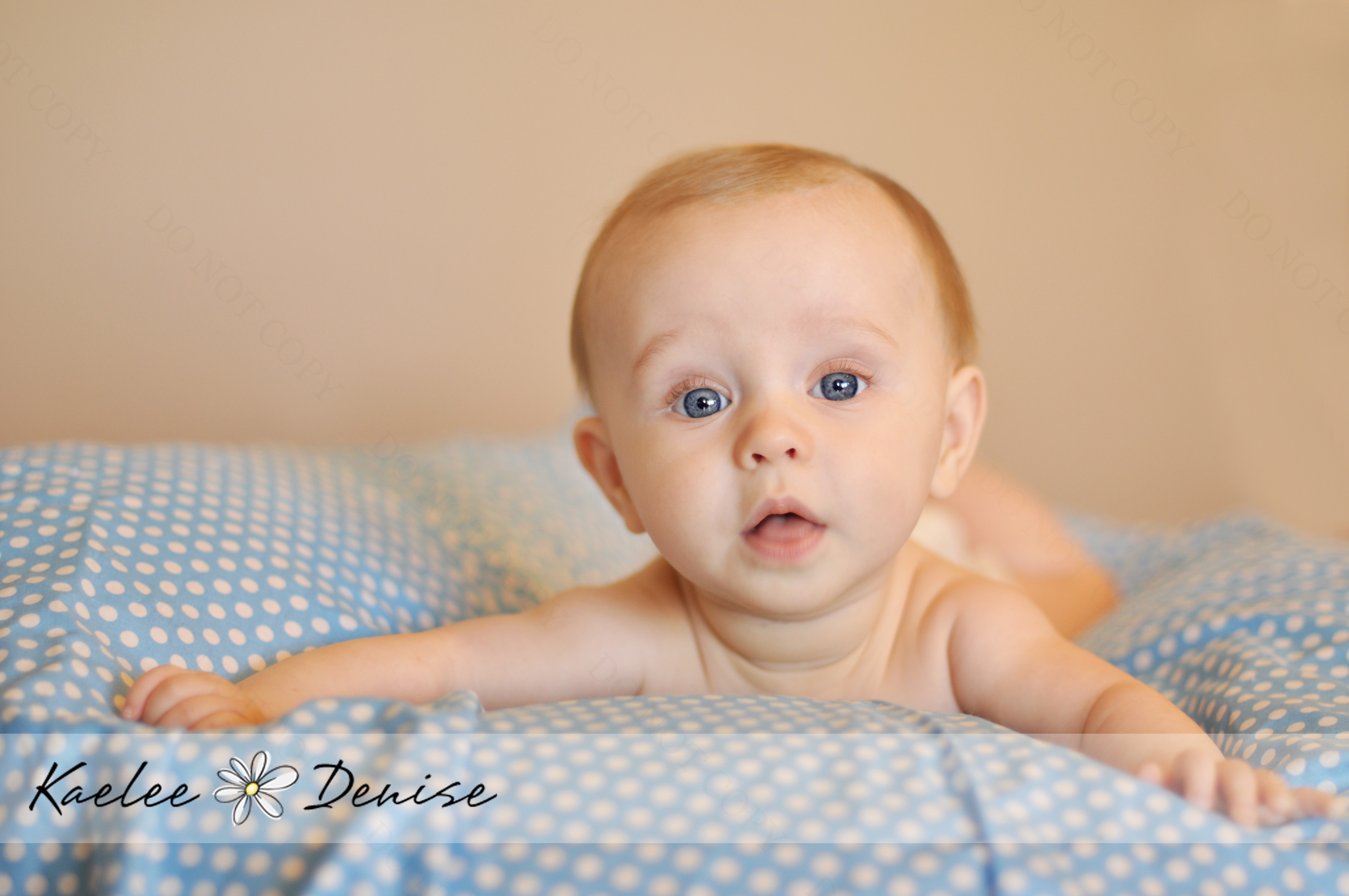 Kaelee Denise Photography