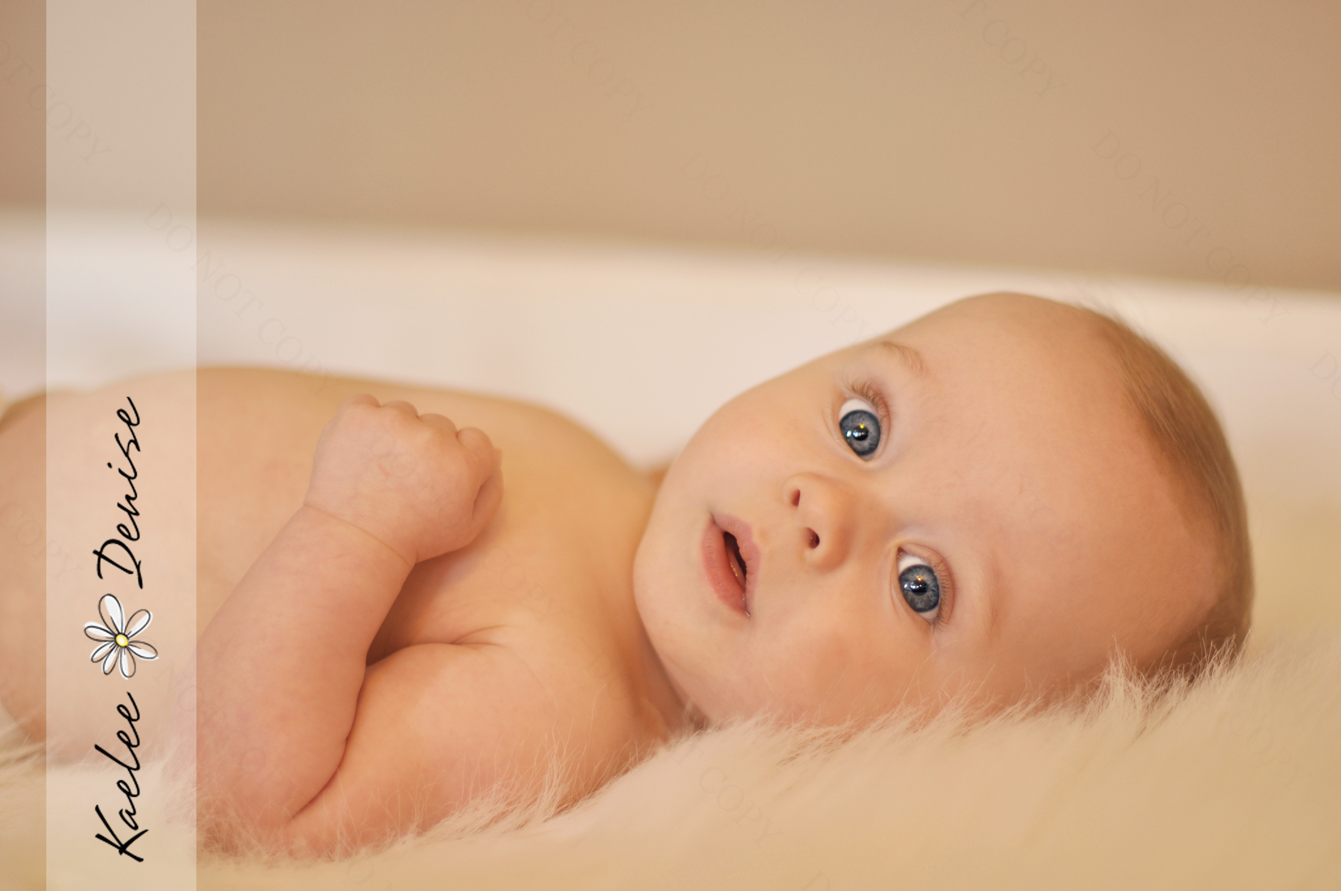 Kaelee Denise Photography