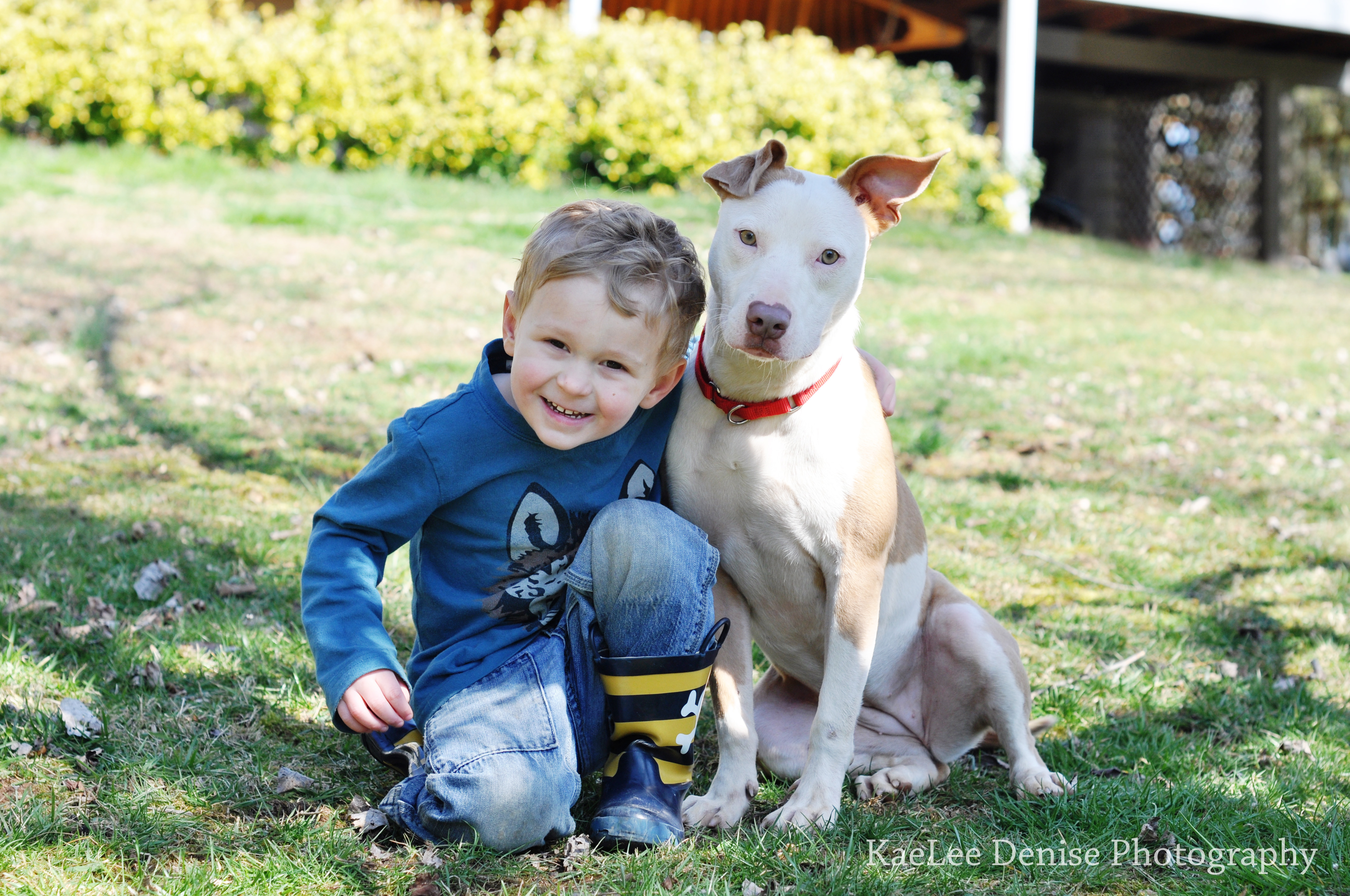 Kaelee Denise Photography