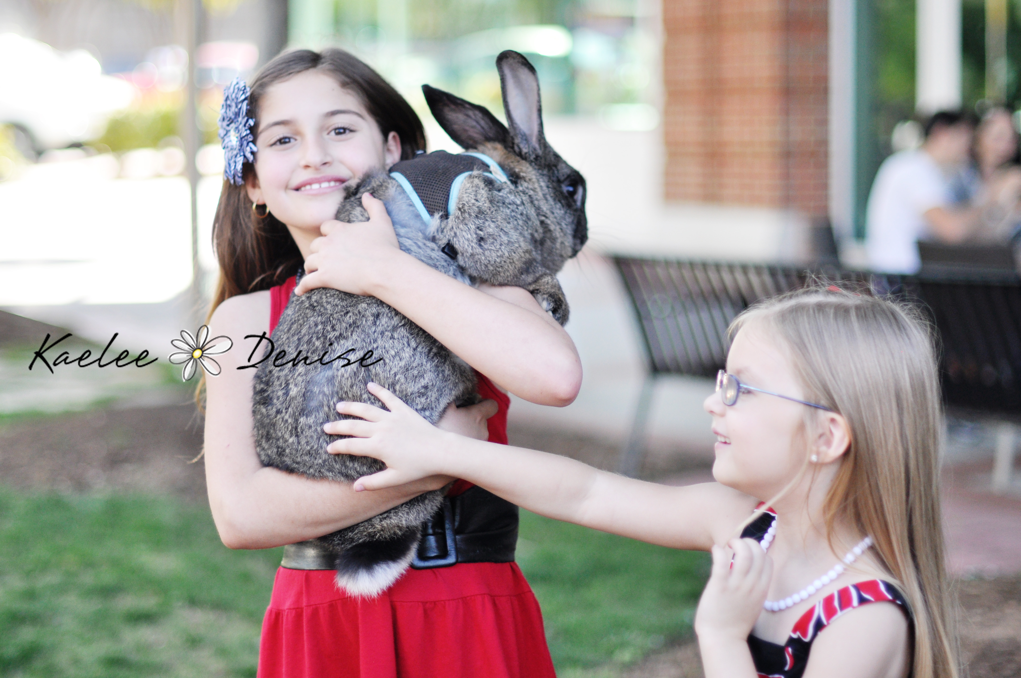 Kaelee Denise Photography