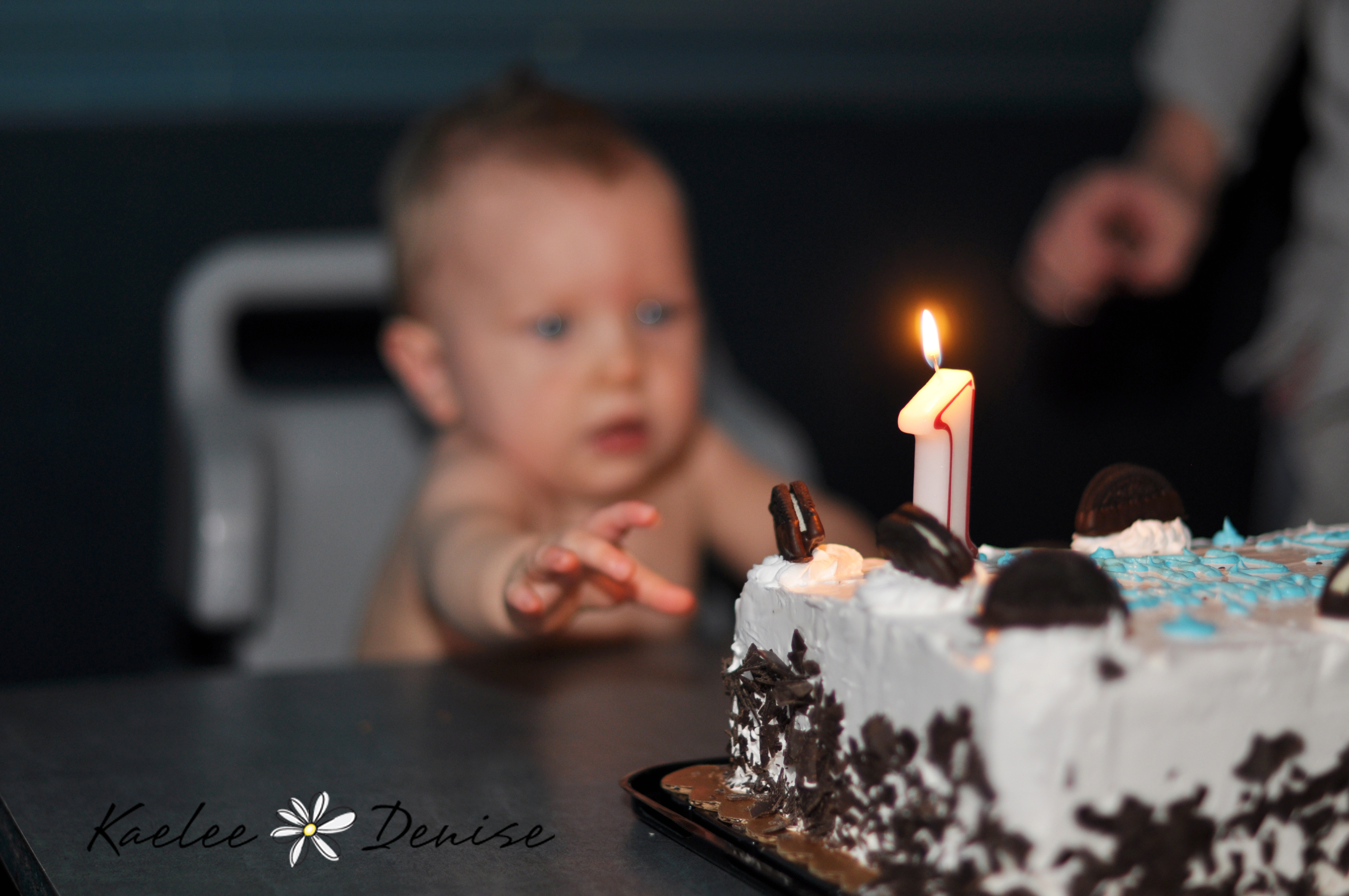 Kaelee Denise Photography