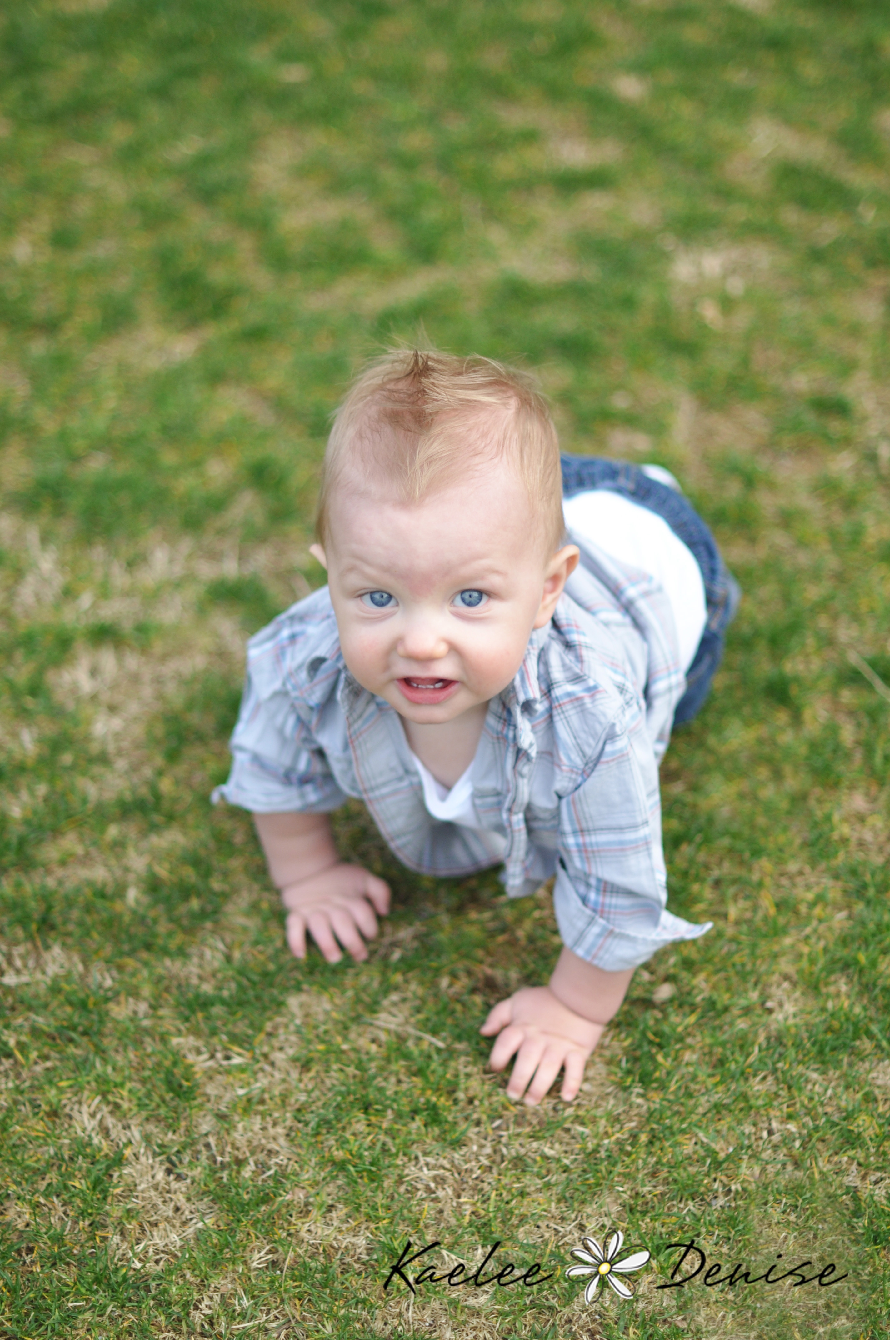 Kaelee Denise Photography