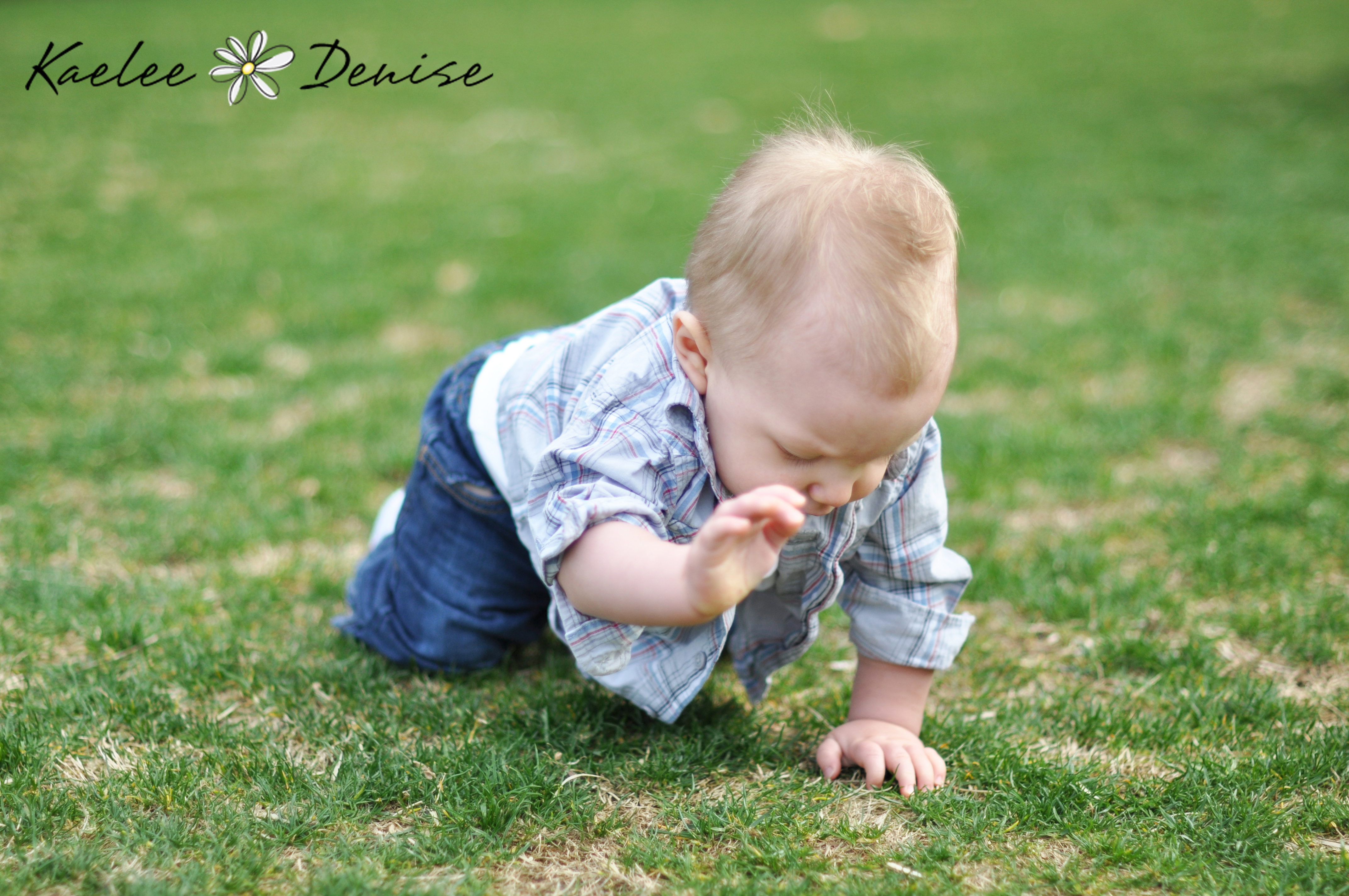 Kaelee Denise Photography