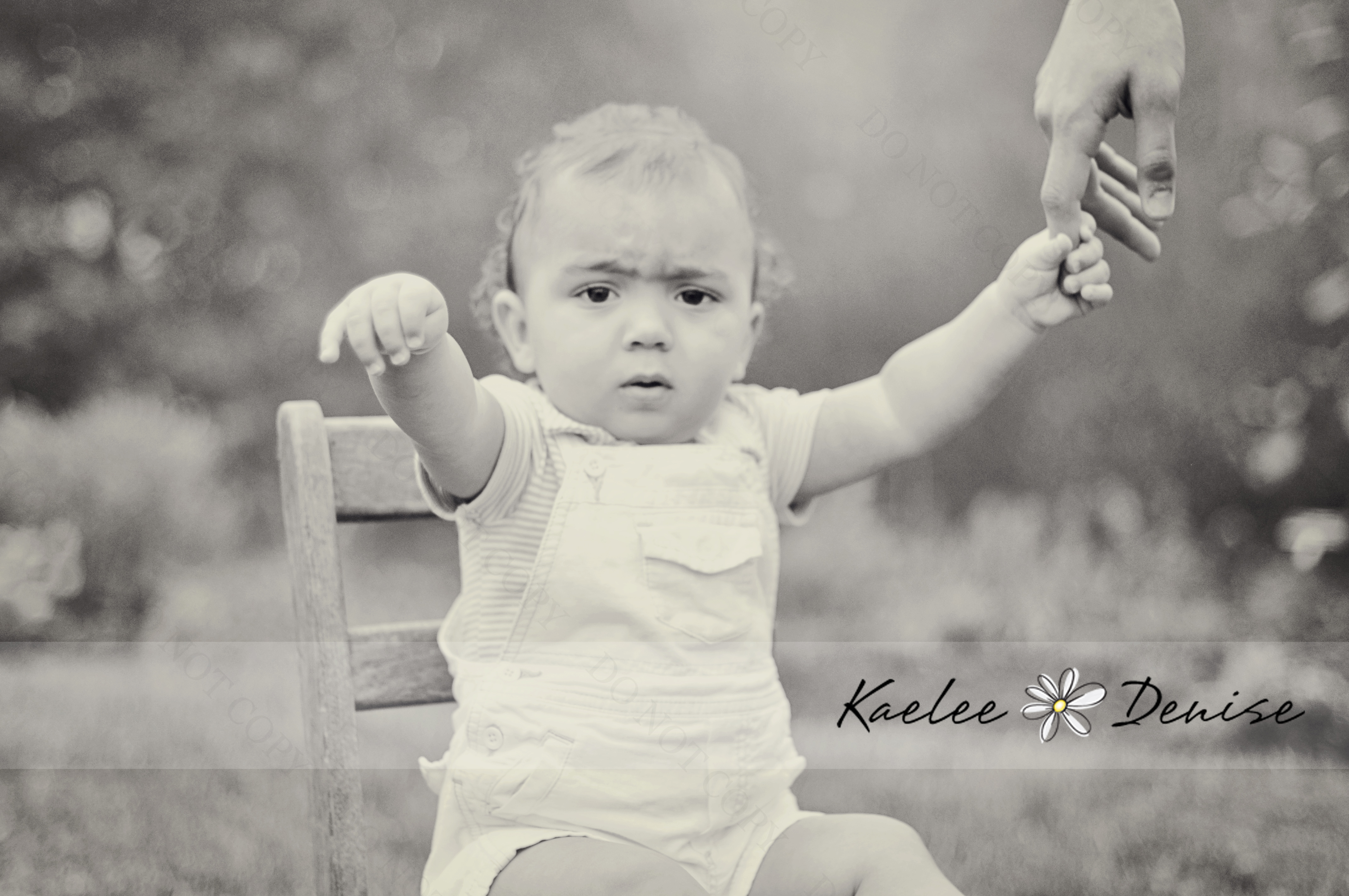 Kaelee Denise Photography