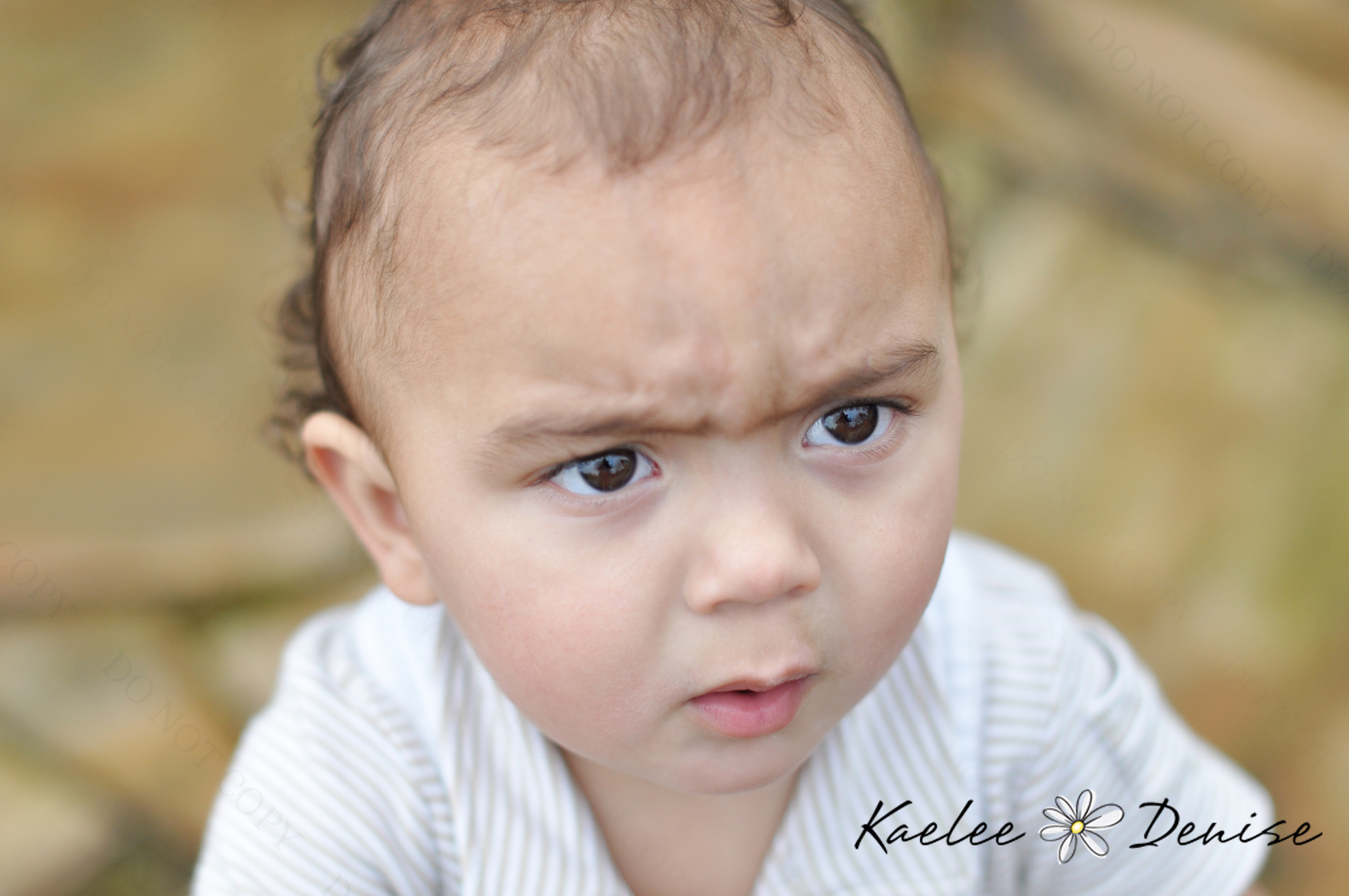 Kaelee Denise Photography