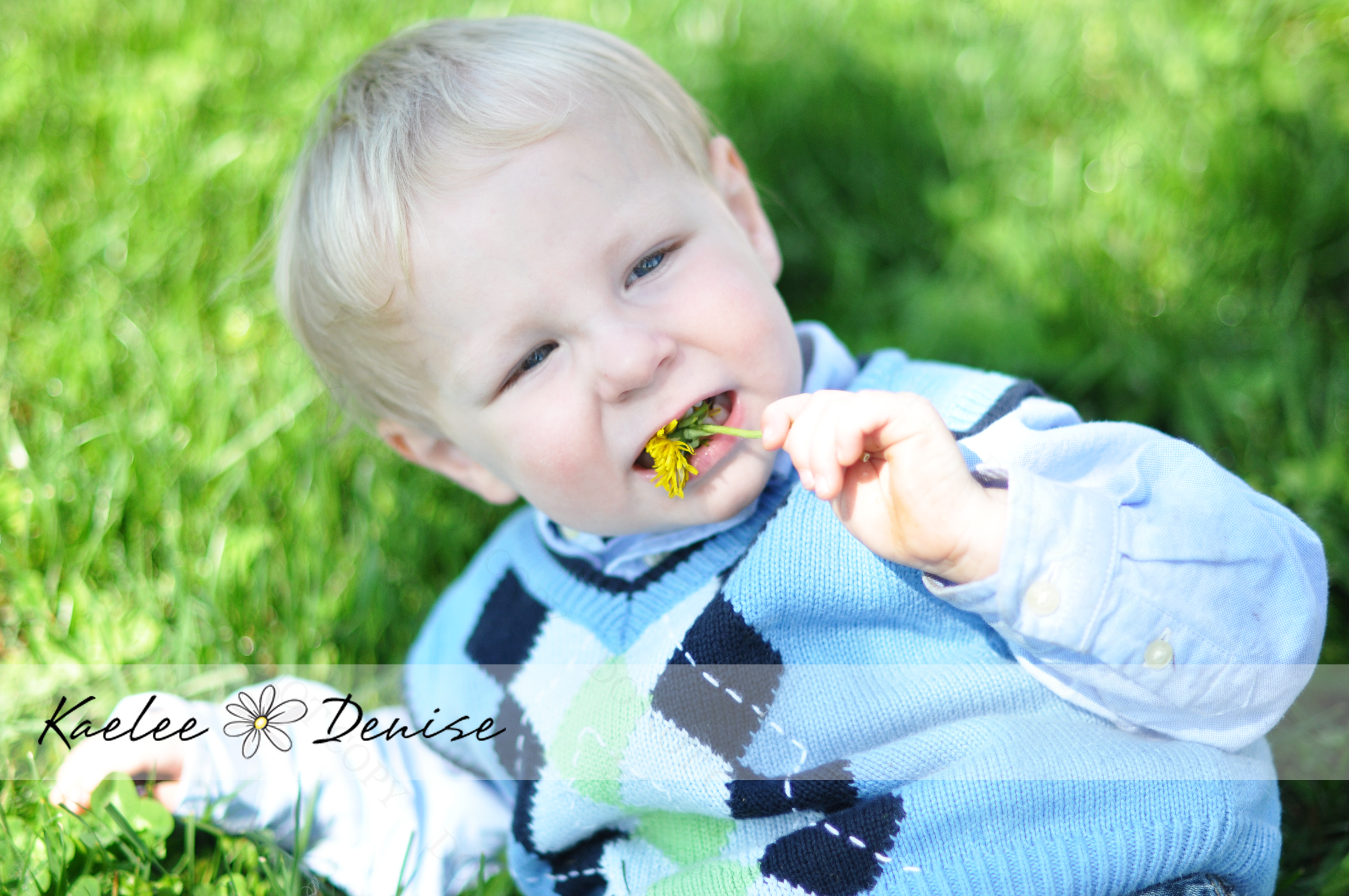 Kaelee Denise Photography