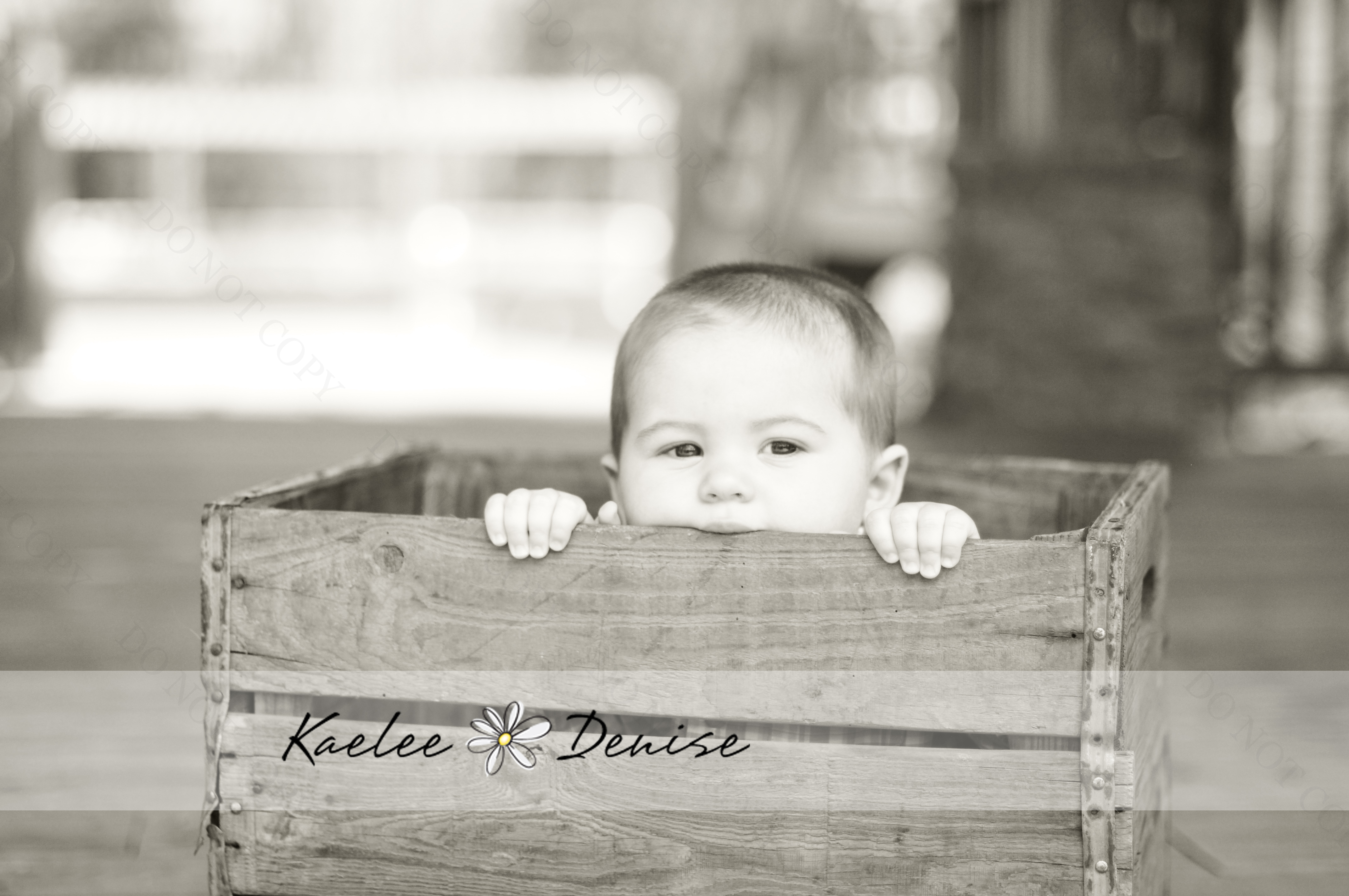 Kaelee Denise Photography