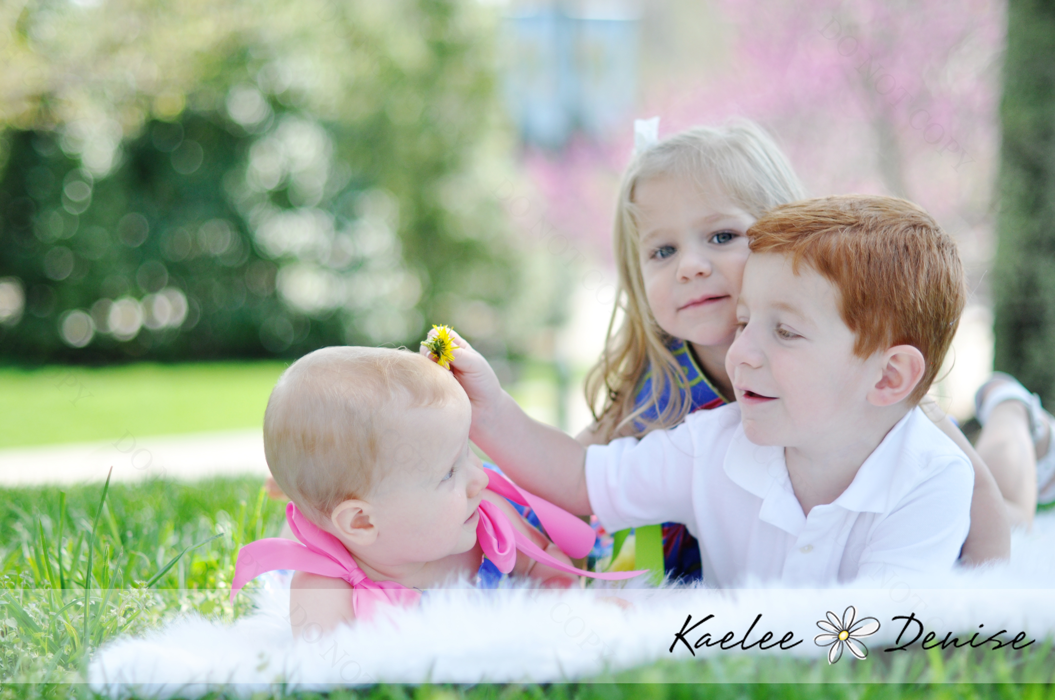 Kaelee Denise Photography