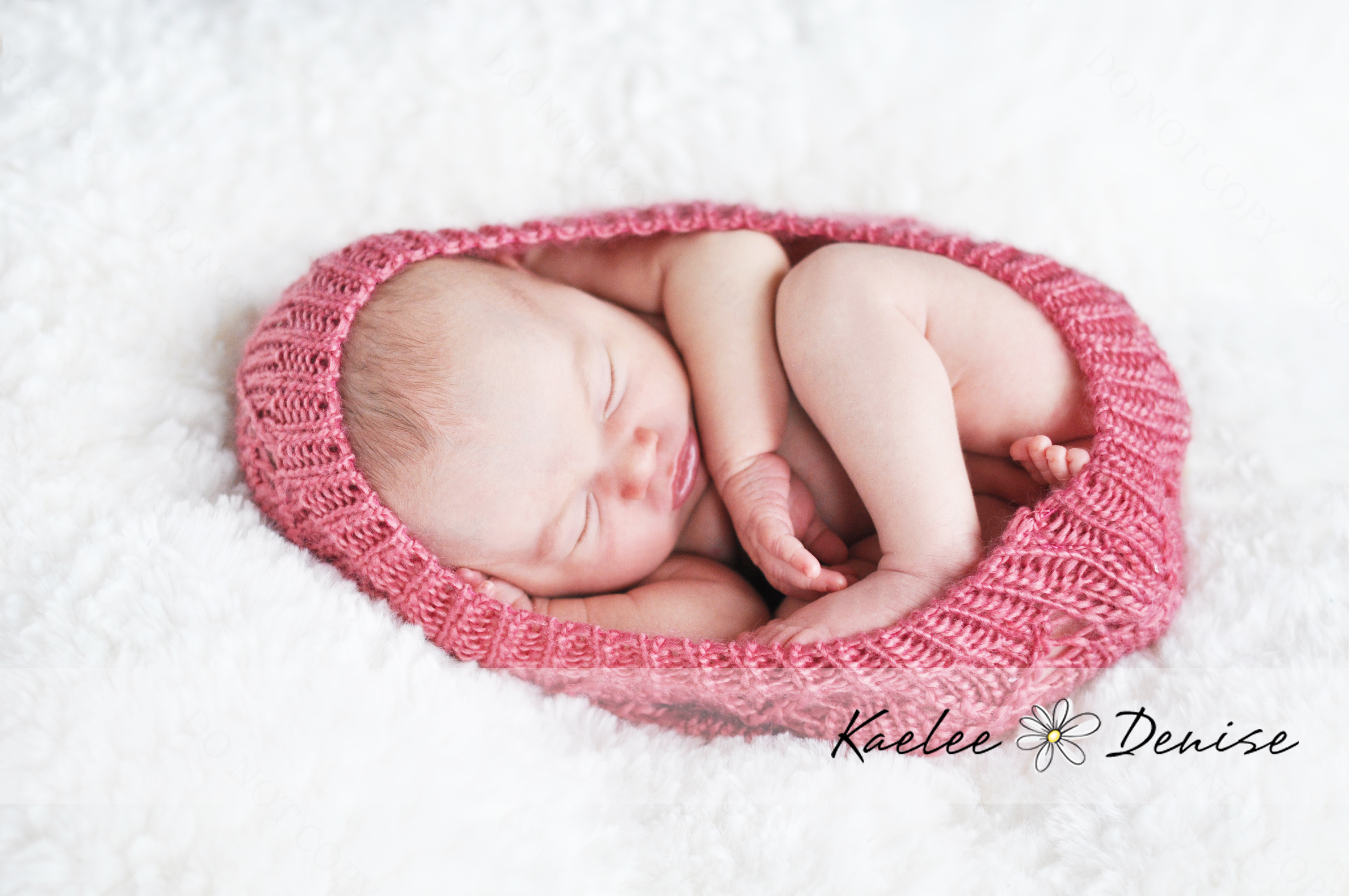 Kaelee Denise Photography