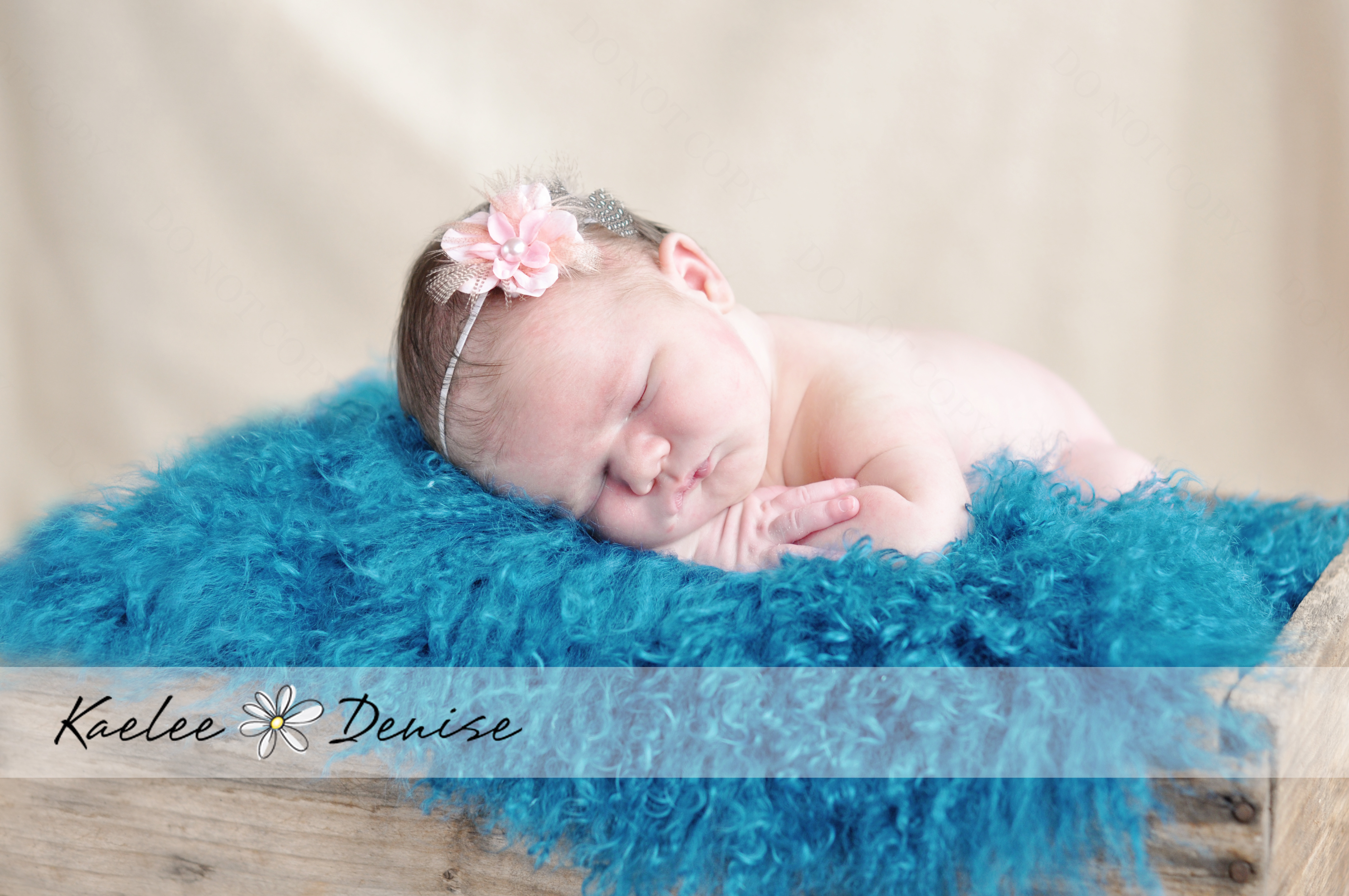 Kaelee Denise Photography