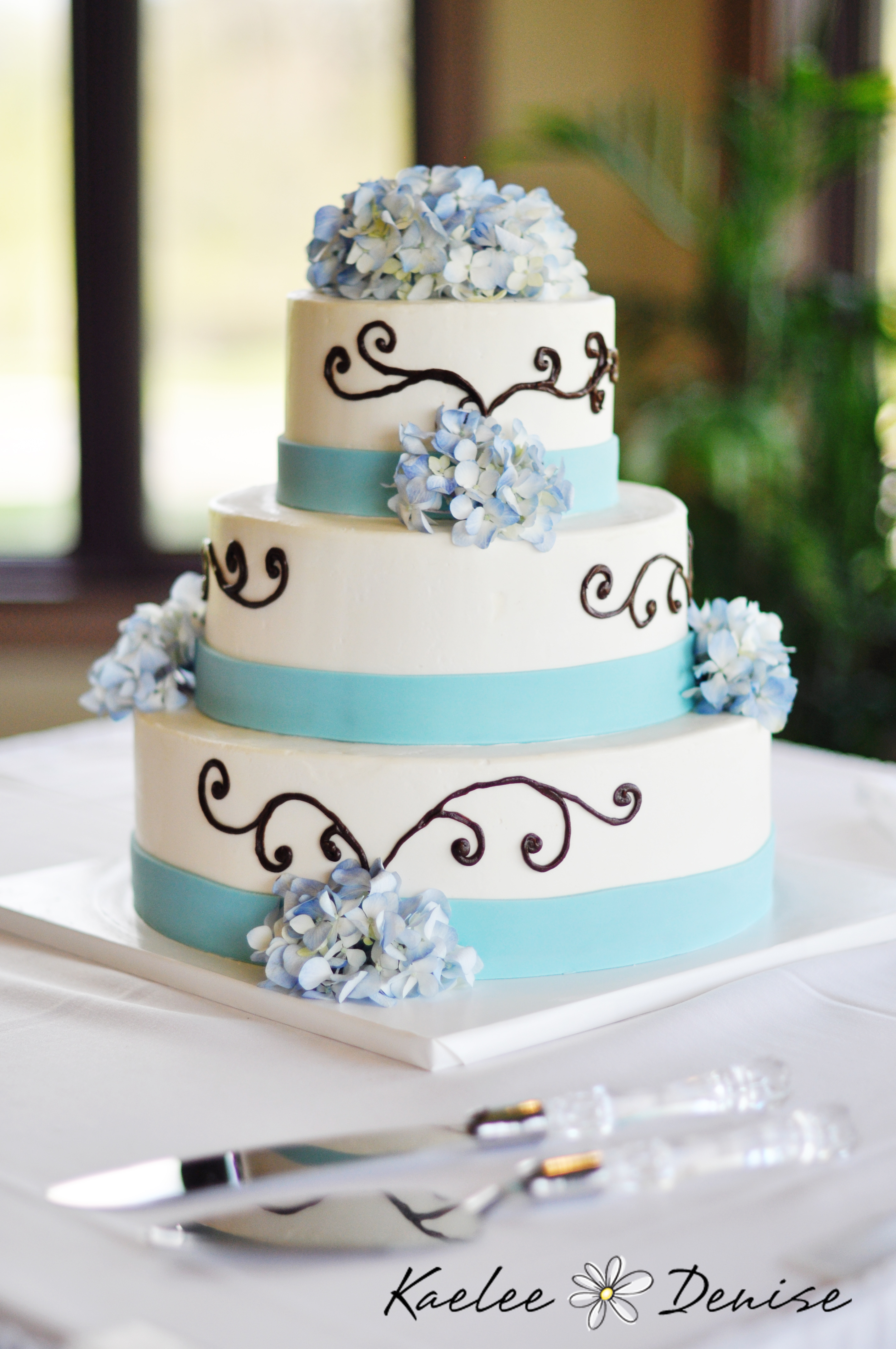 Kaelee Denise Photography