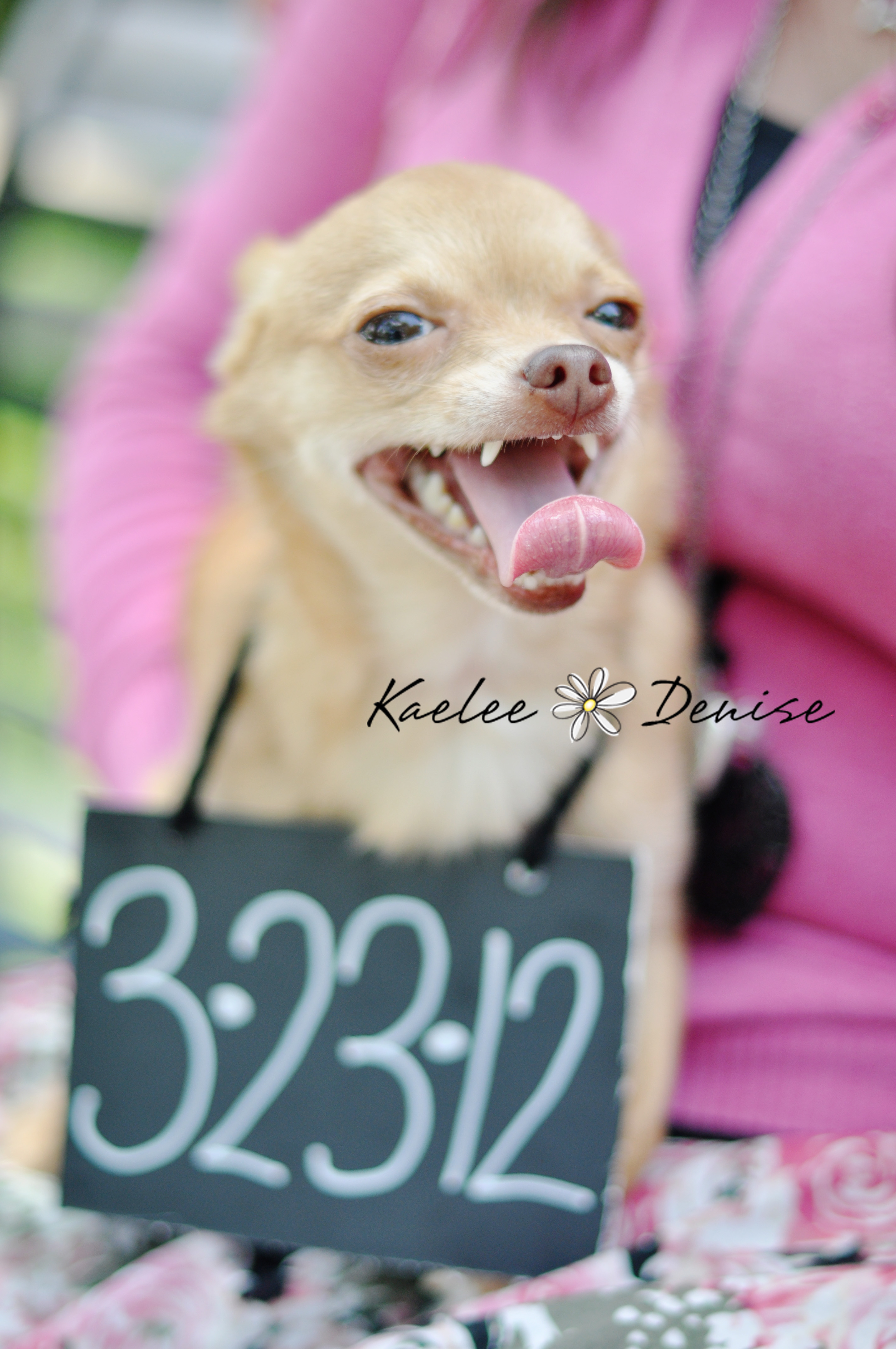 Kaelee Denise Photography