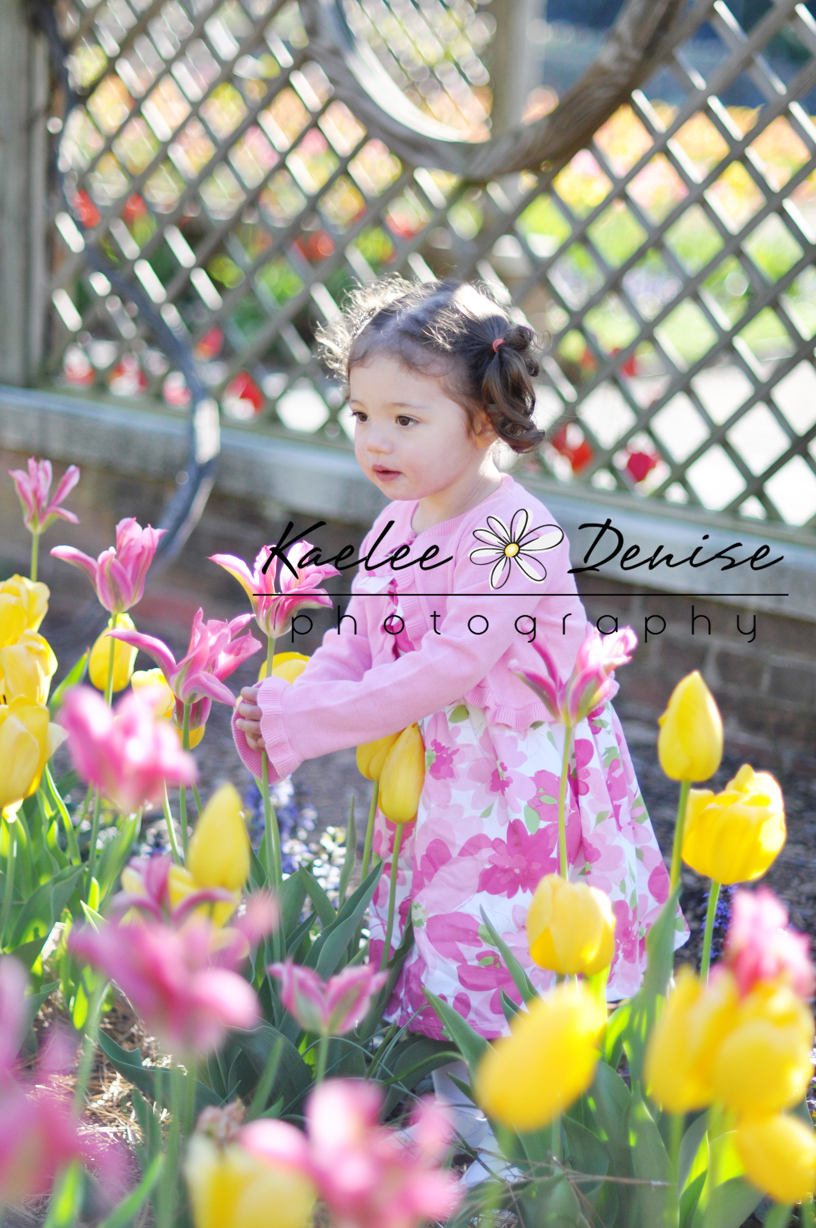 Kaelee Denise Photography