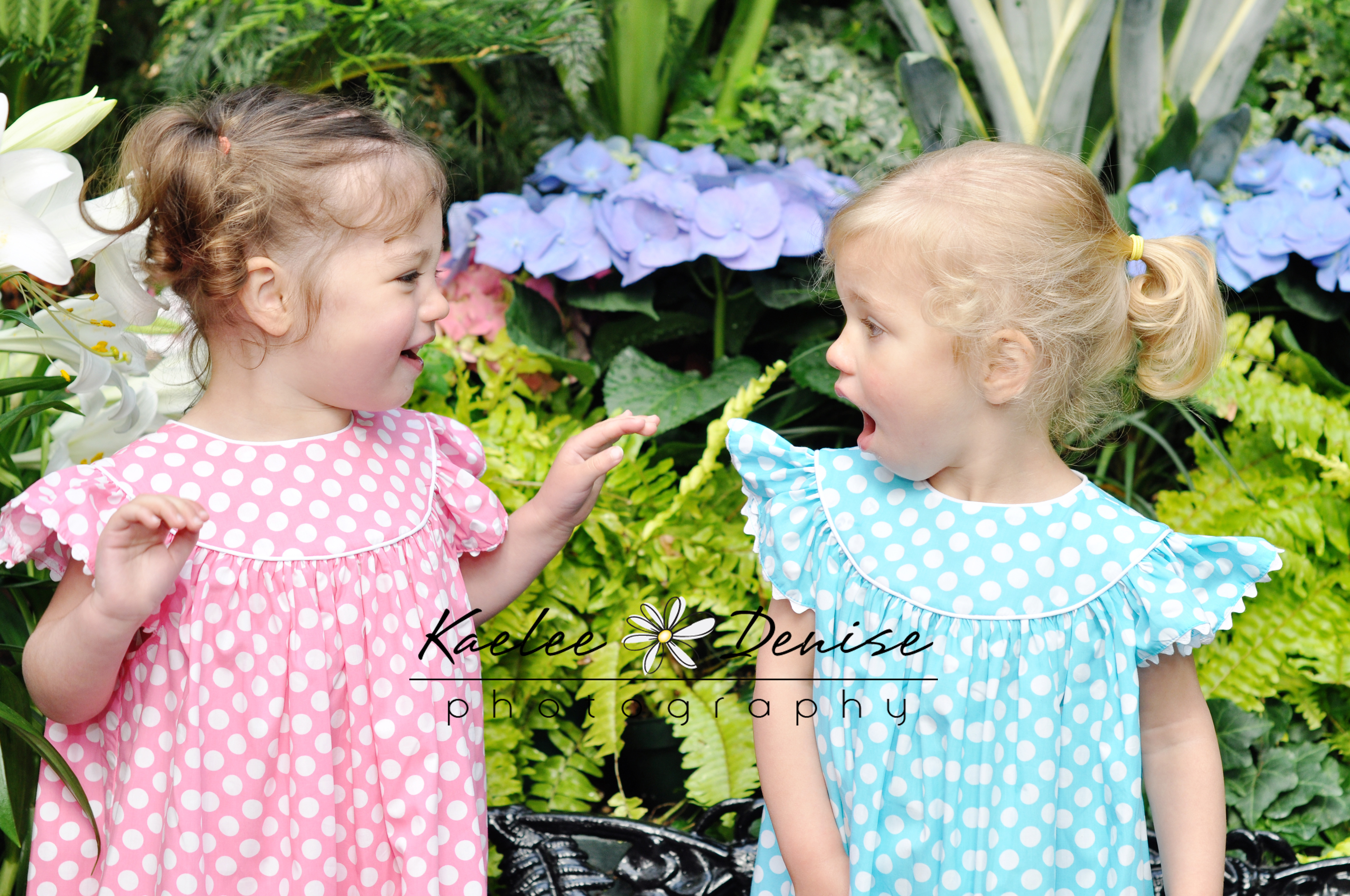 Kaelee Denise Photography