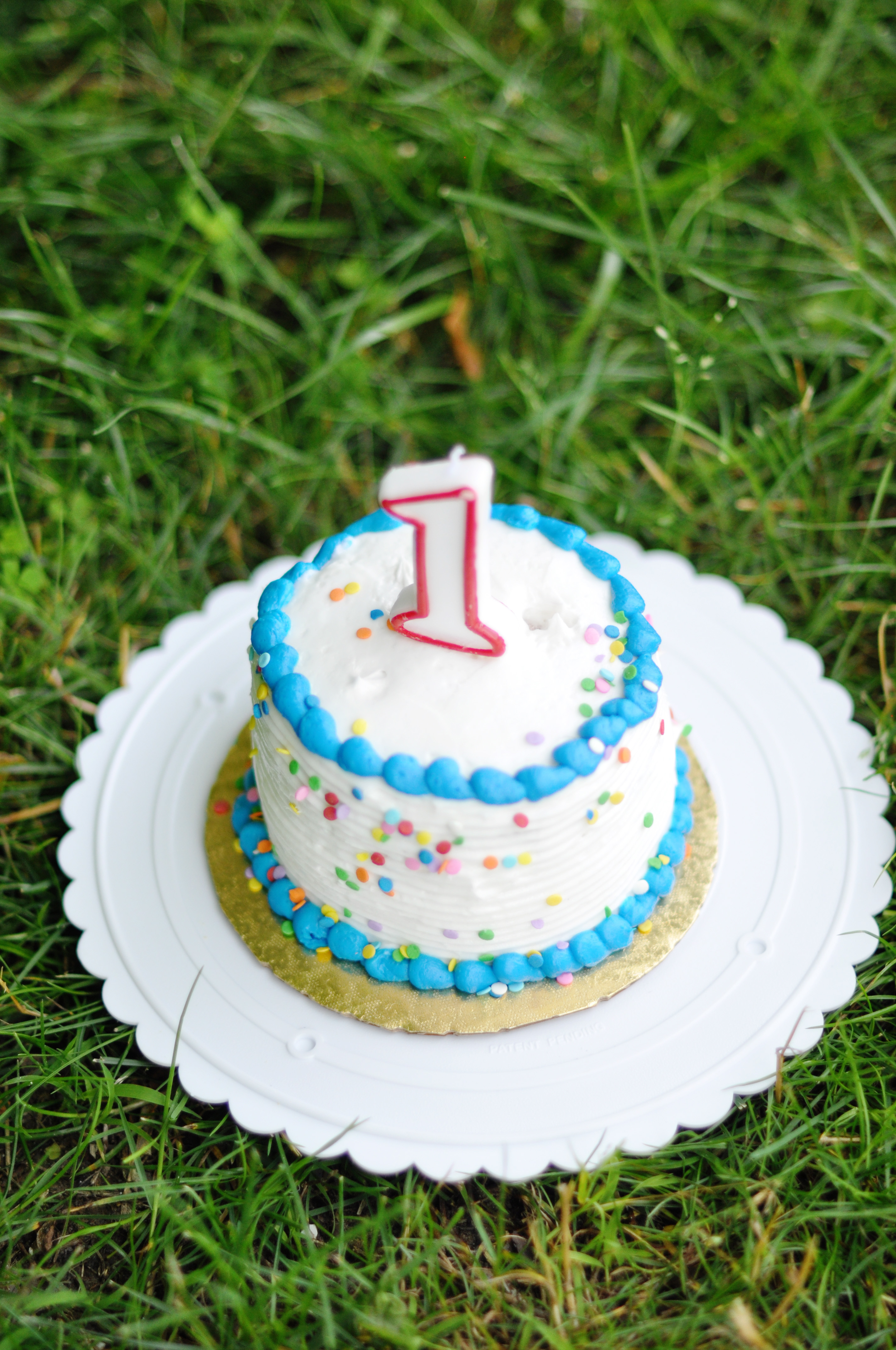 Kaelee Denise Photography