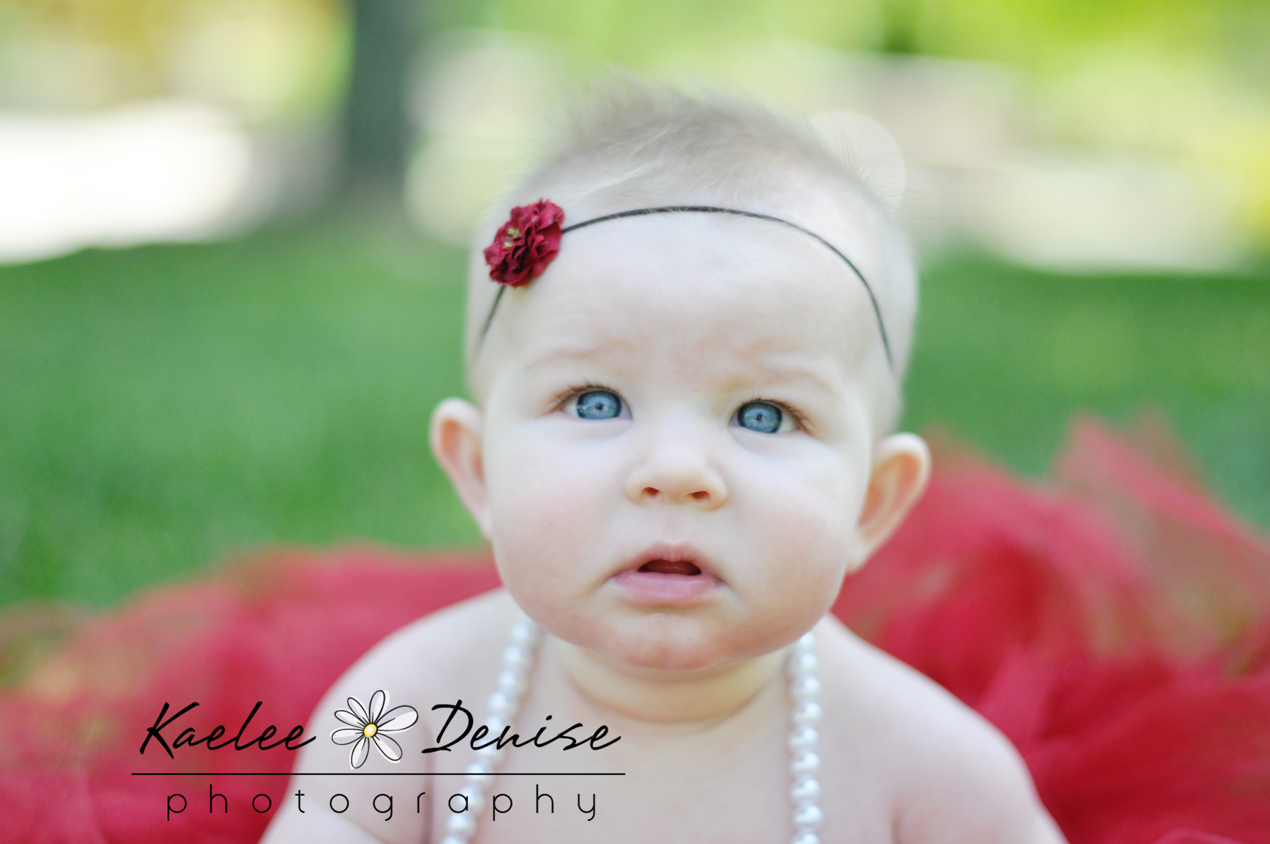 Kaelee Denise Photography