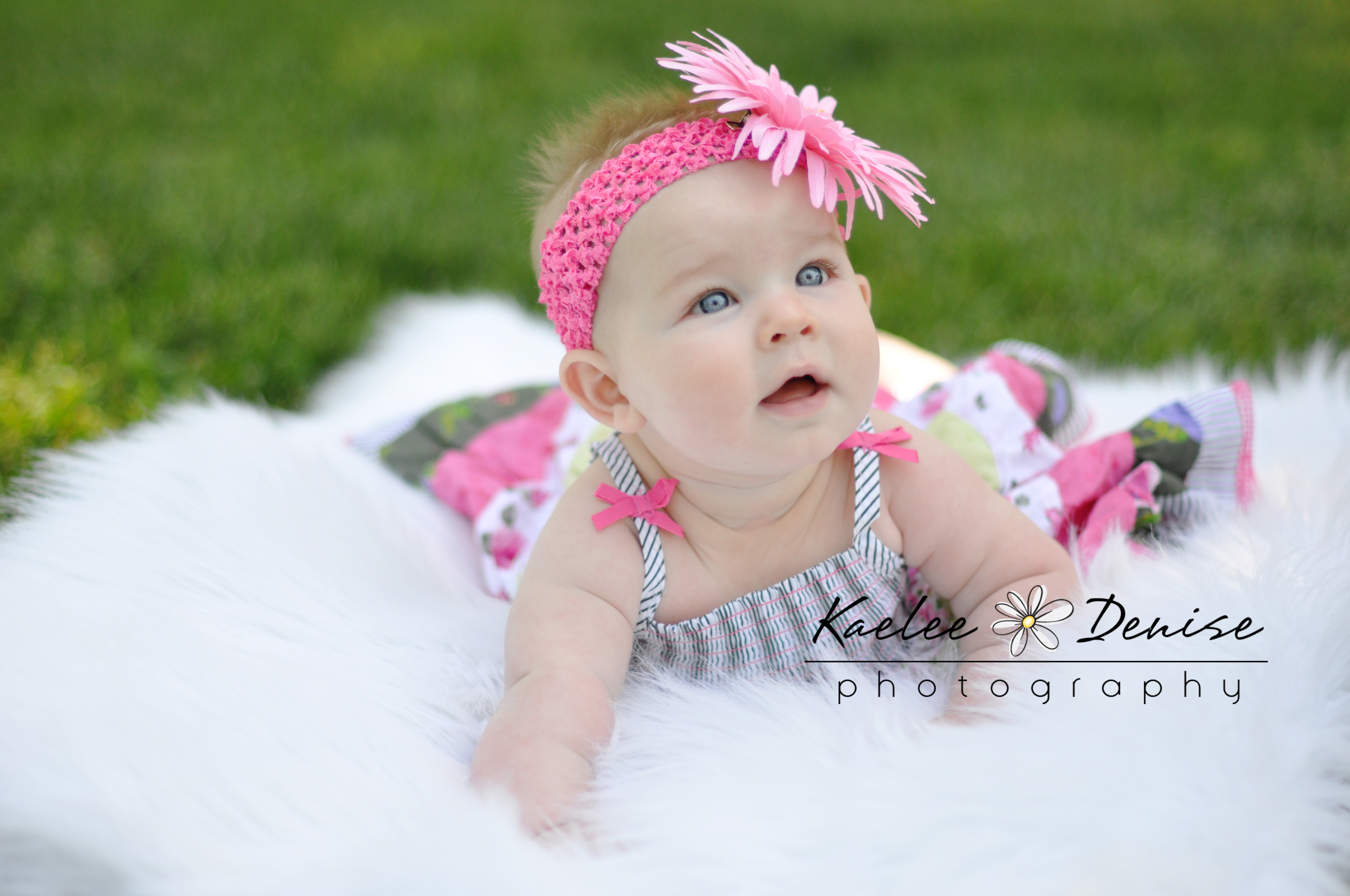 Kaelee Denise Photography