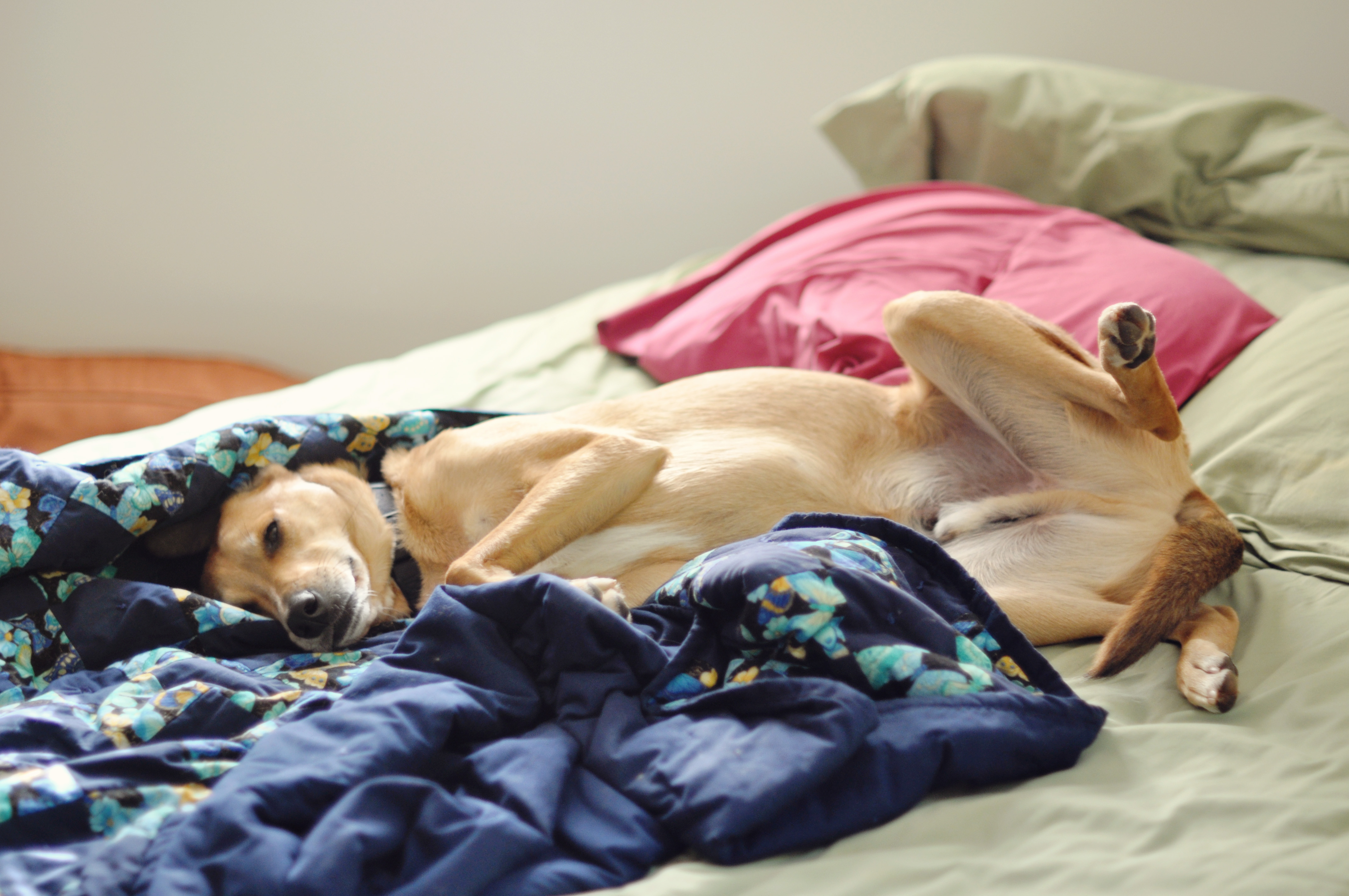 Kaelee Denise Photography