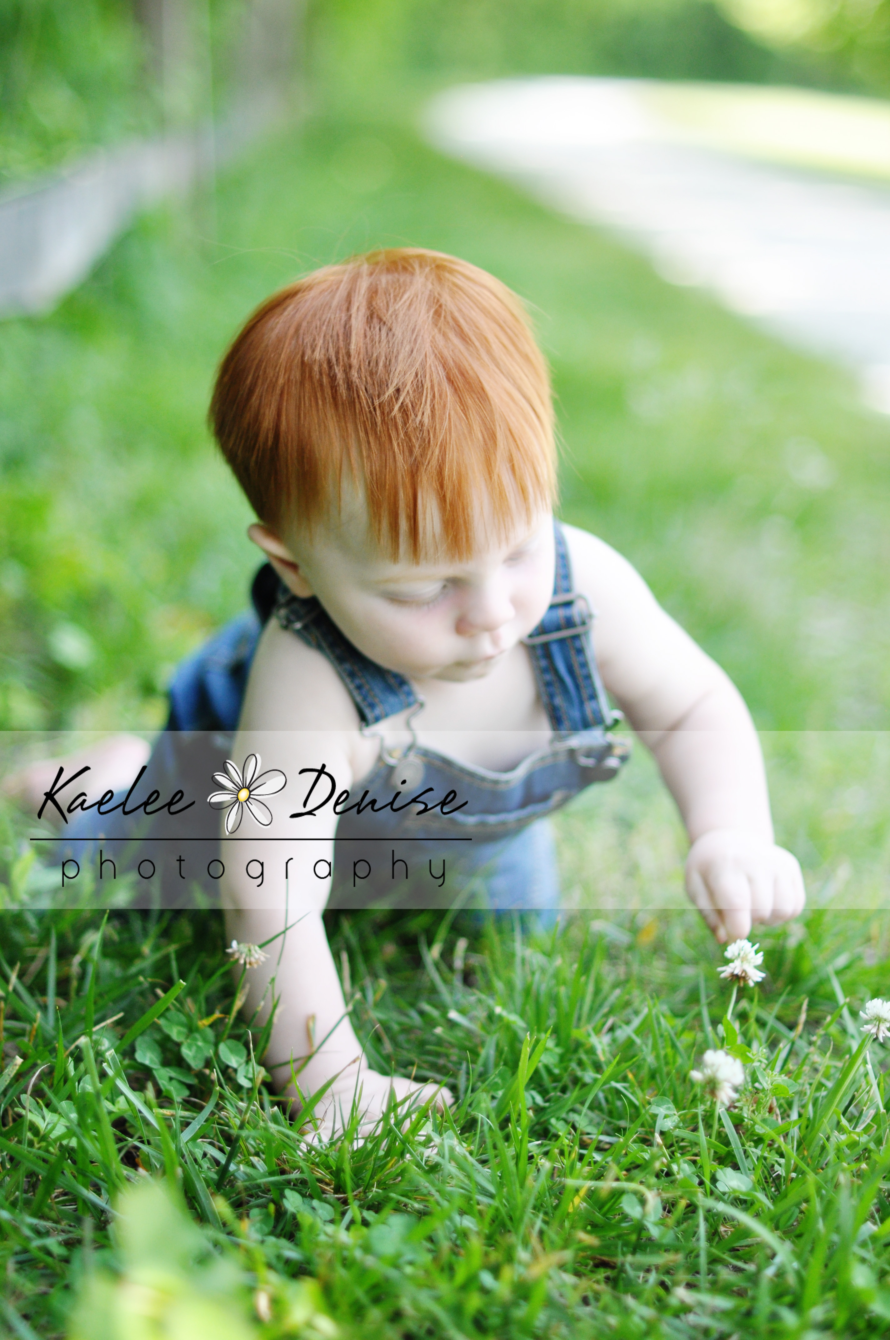 Kaelee Denise Photography