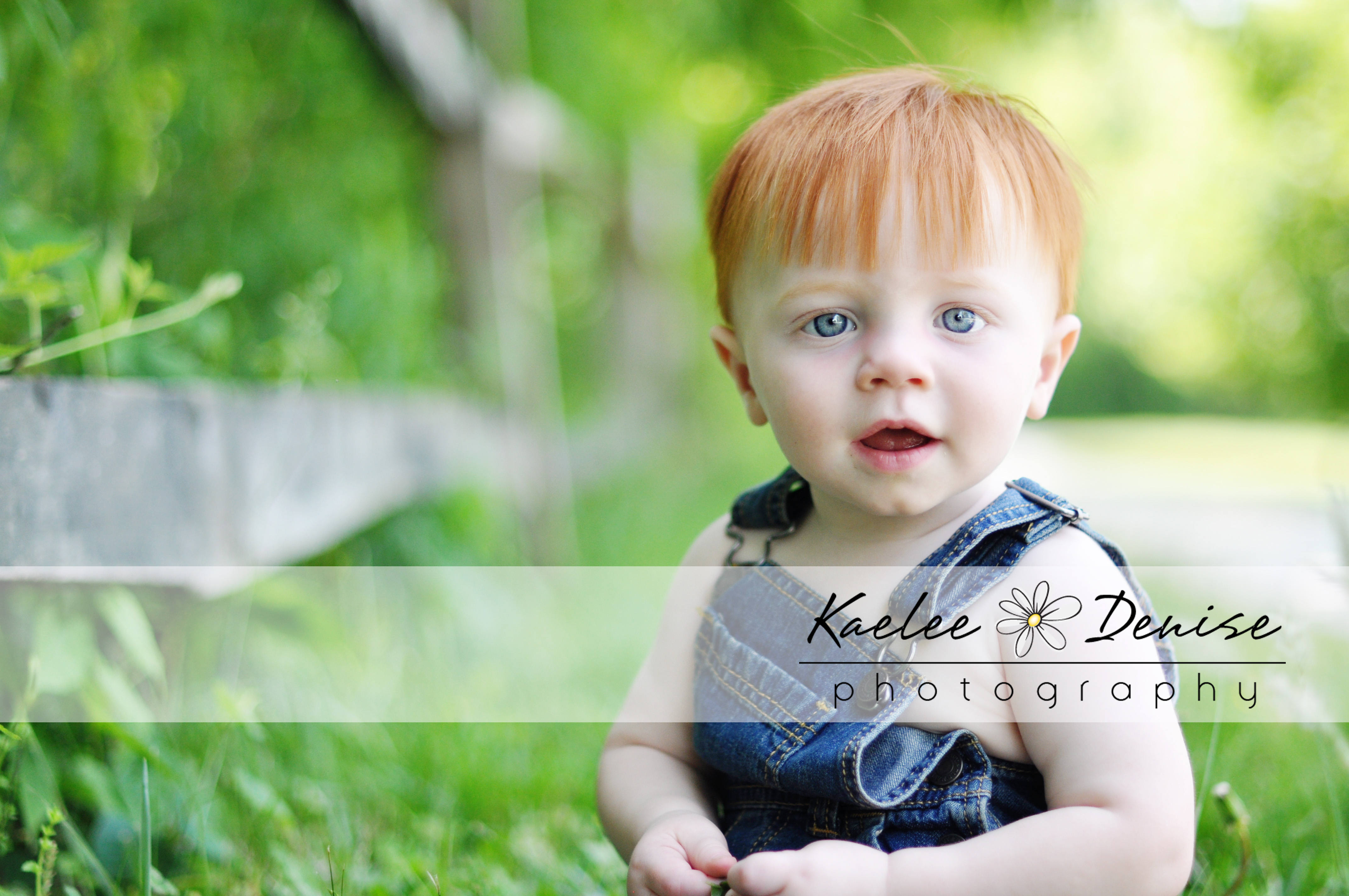 Kaelee Denise Photography