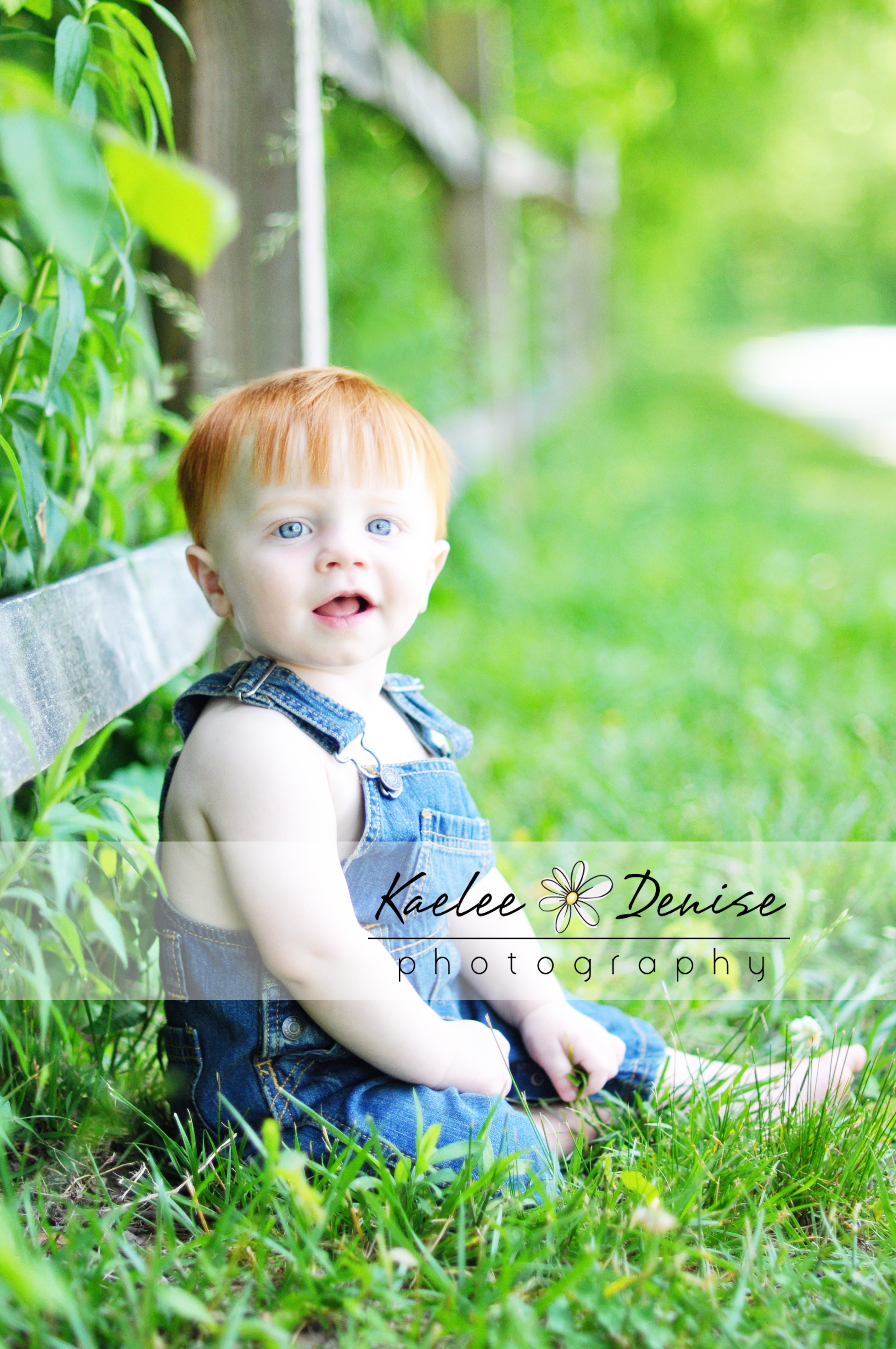 Kaelee Denise Photography