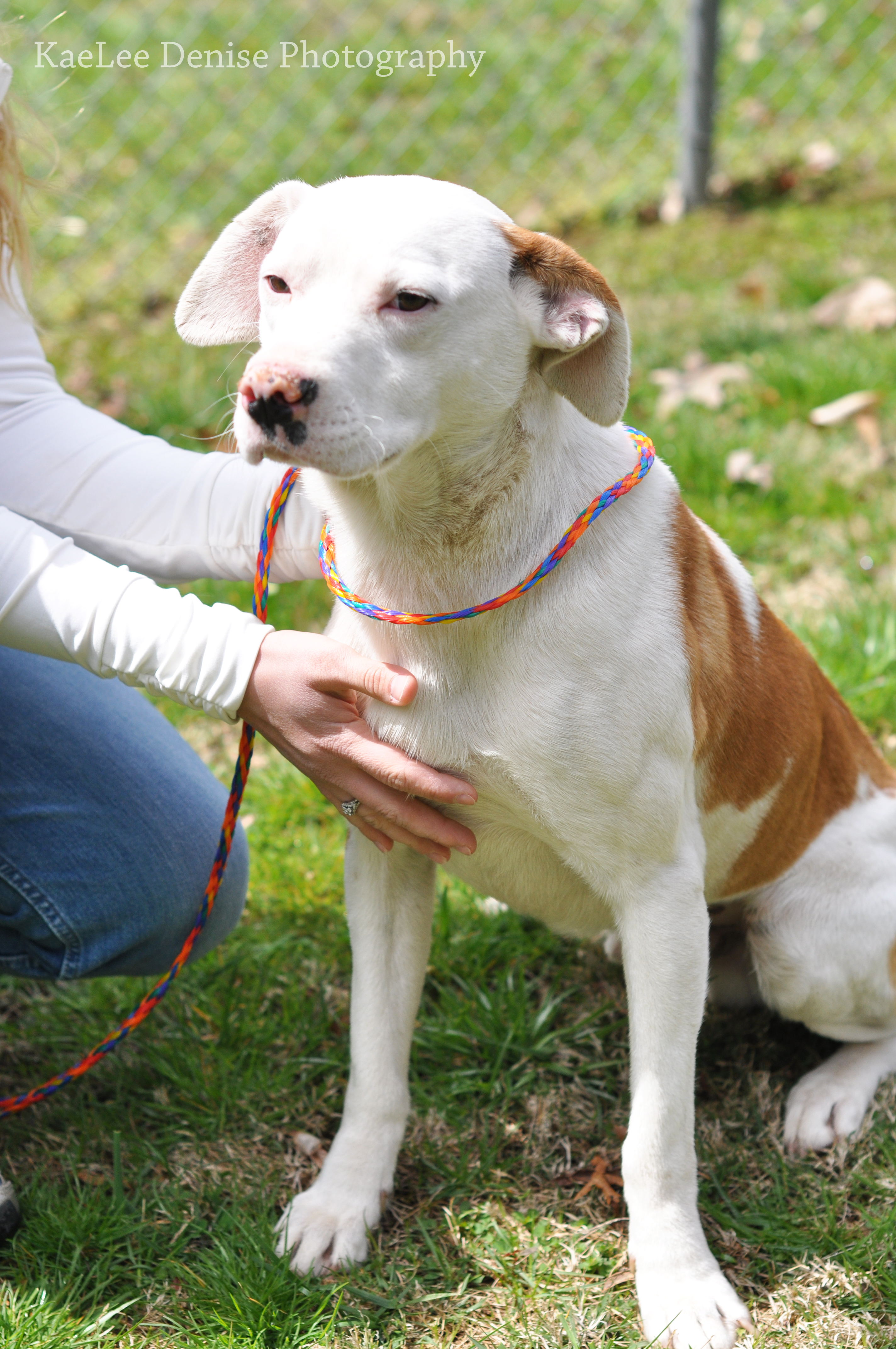 Kaelee Denise Photography