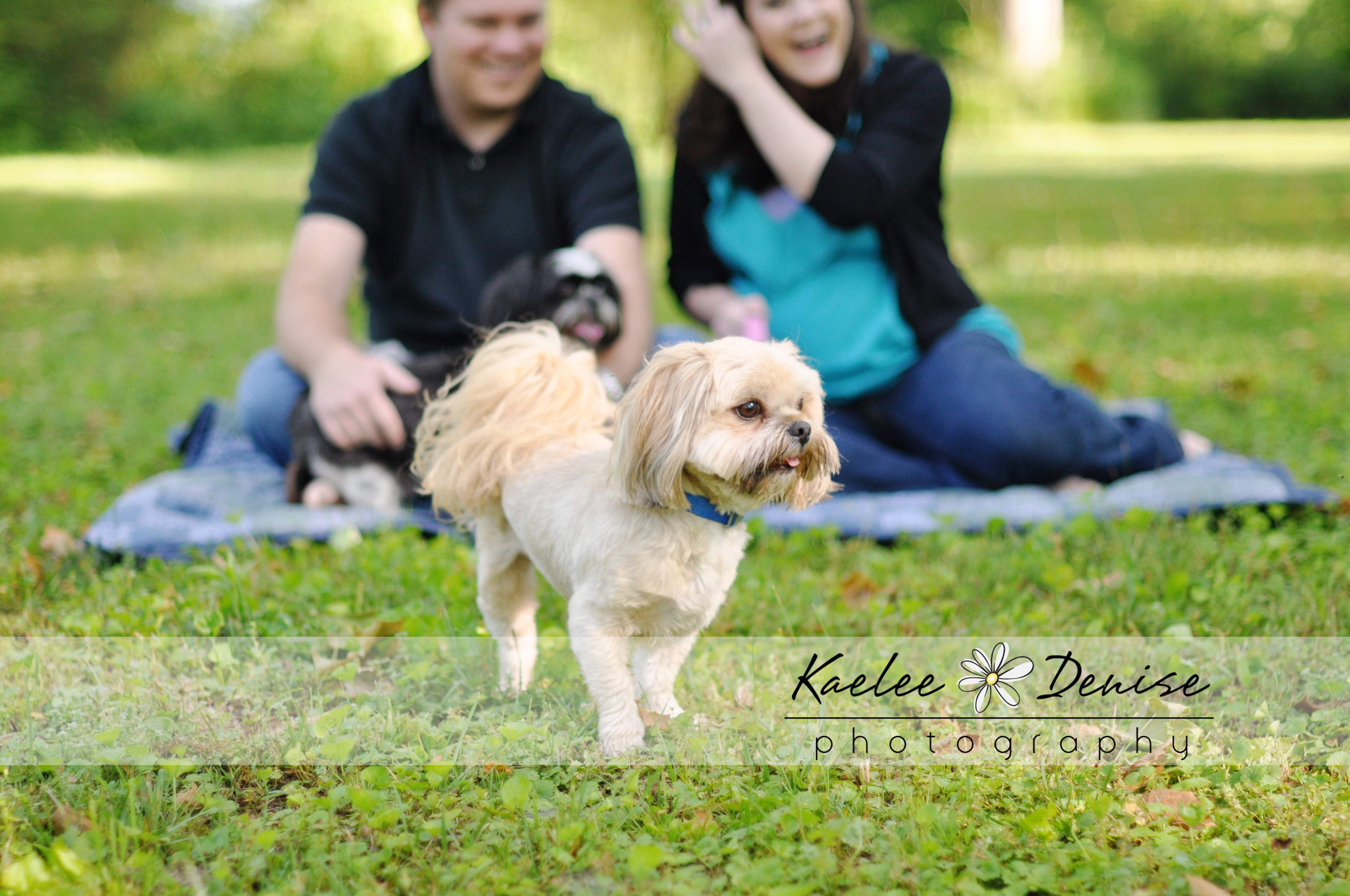 Kaelee Denise Photography