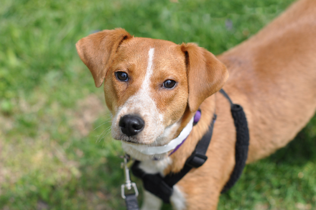 Kaelee Denise Photography