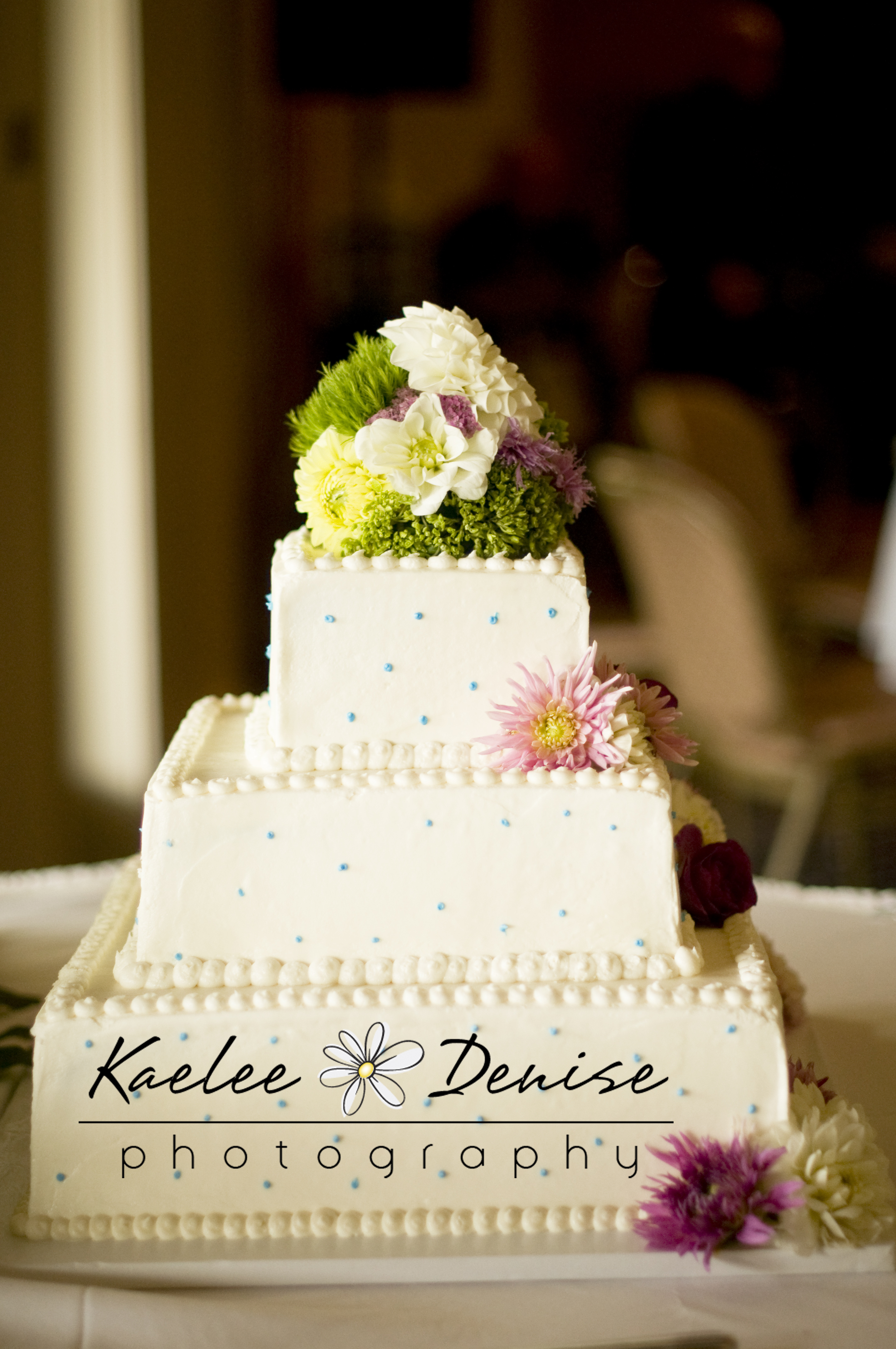 Kaelee Denise Photography