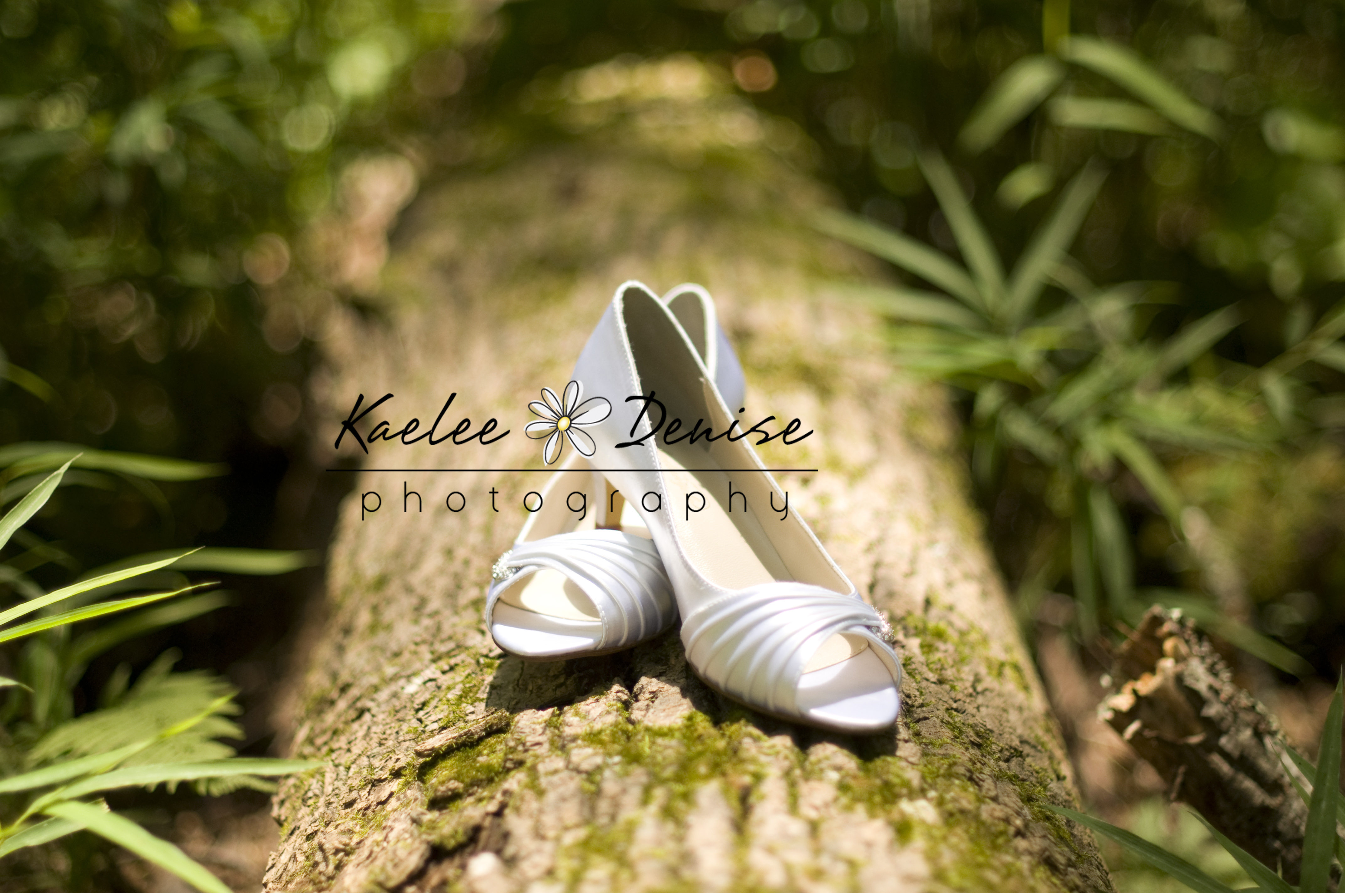 Kaelee Denise Photography