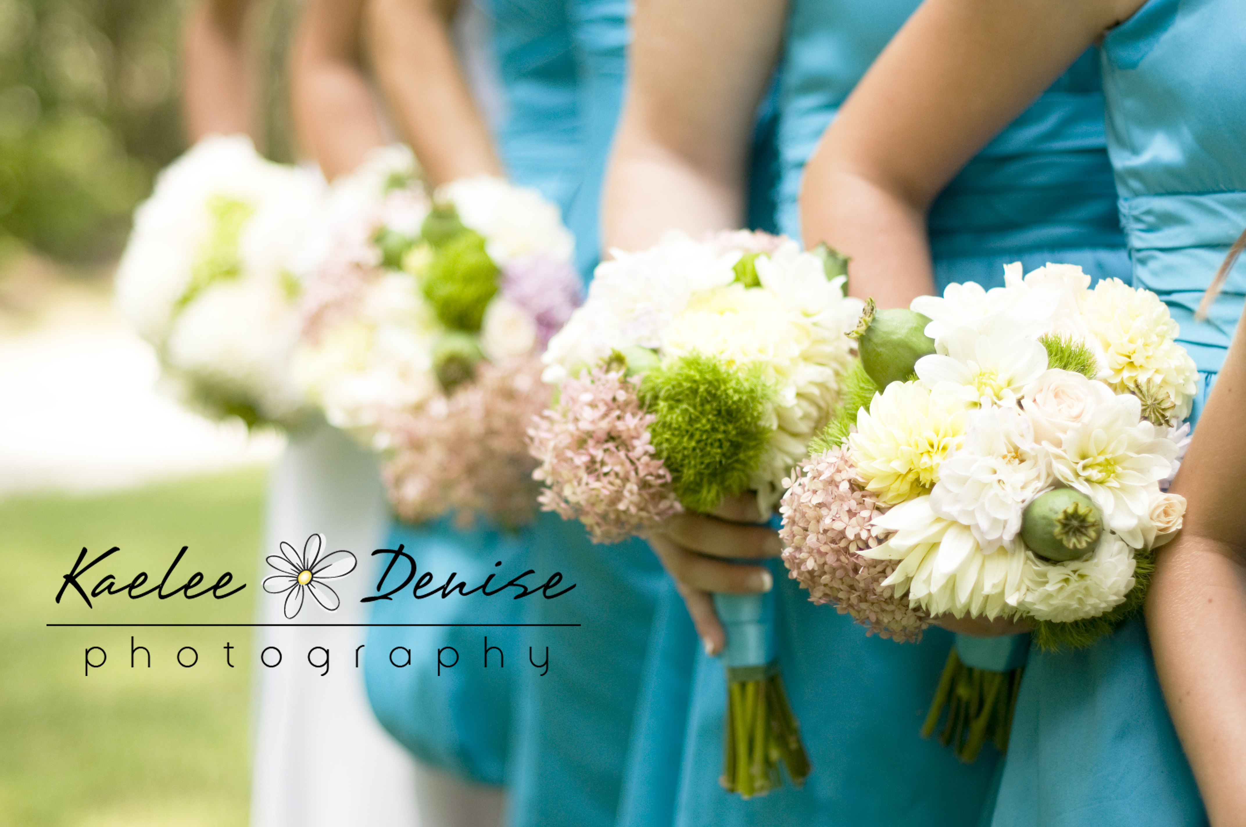 Kaelee Denise Photography