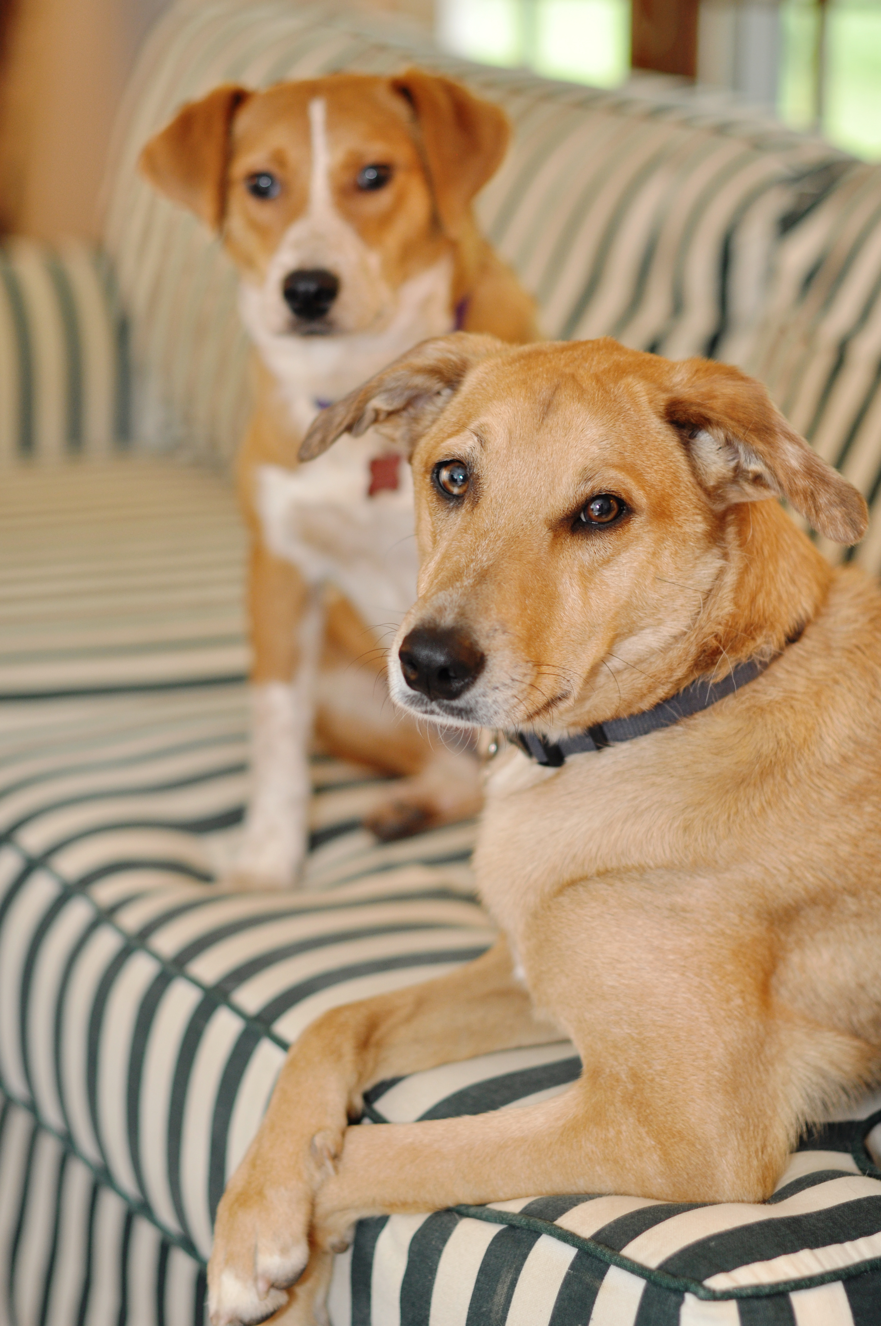 Kaelee Denise Photography