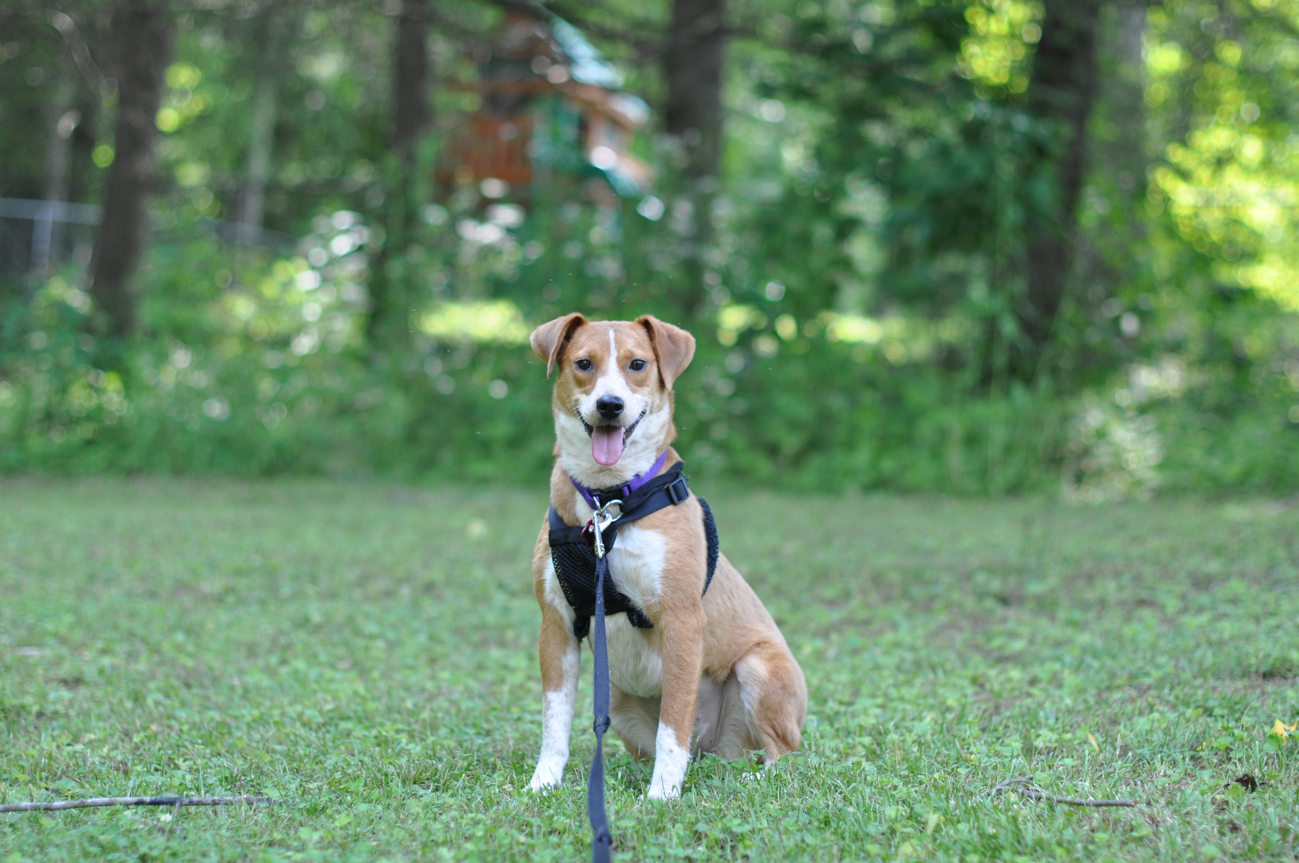 Kaelee Denise Photography