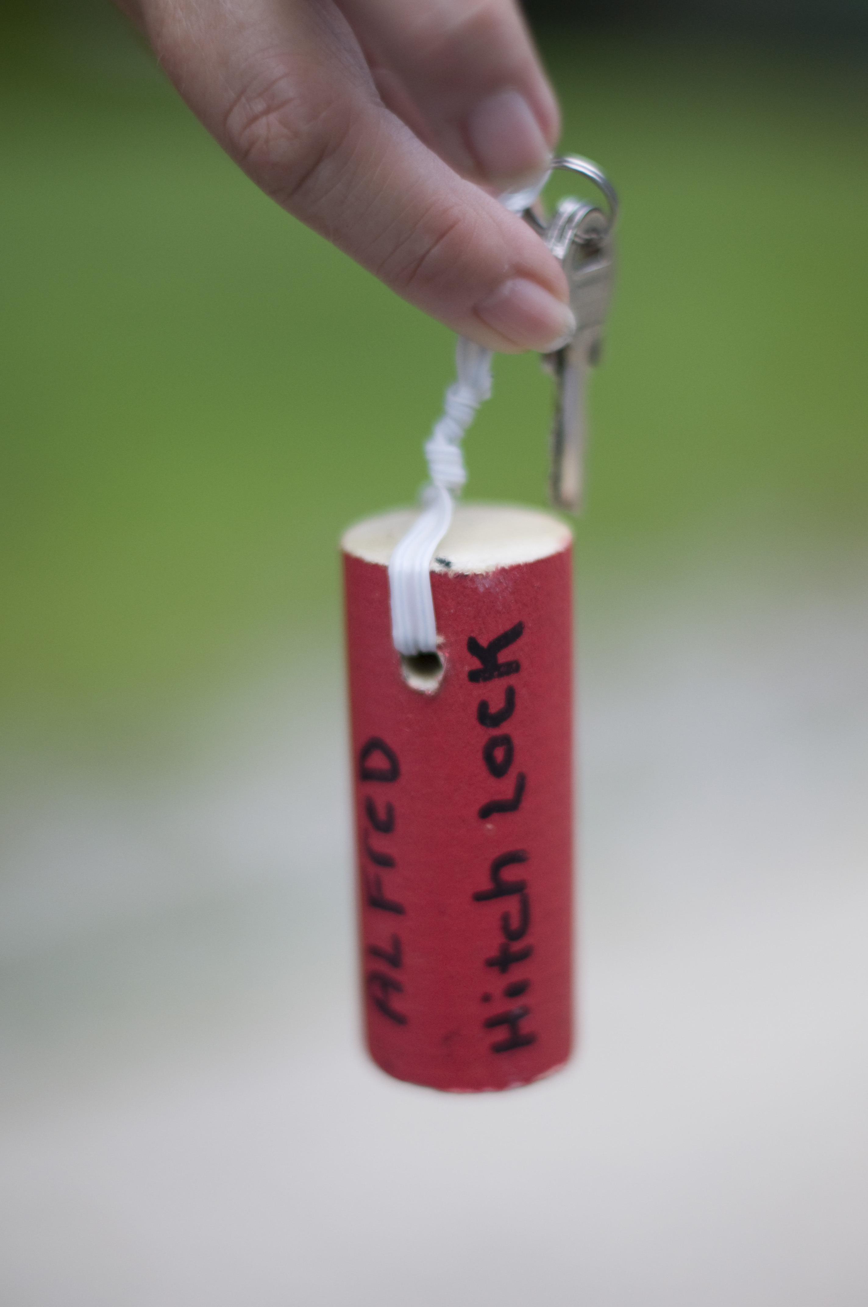 Kaelee Denise Photography